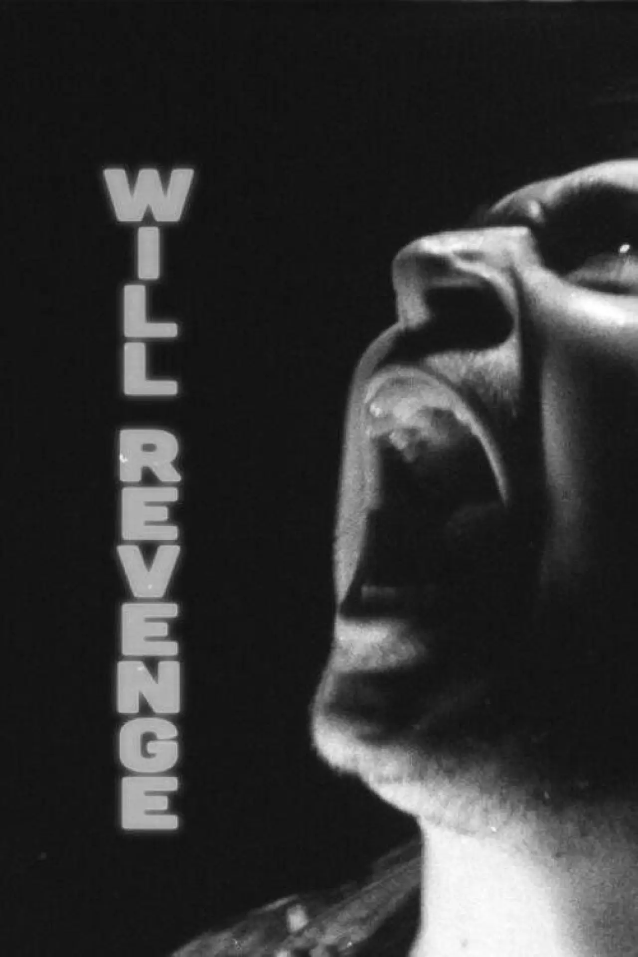 Постер до фільму "Will Revenge"