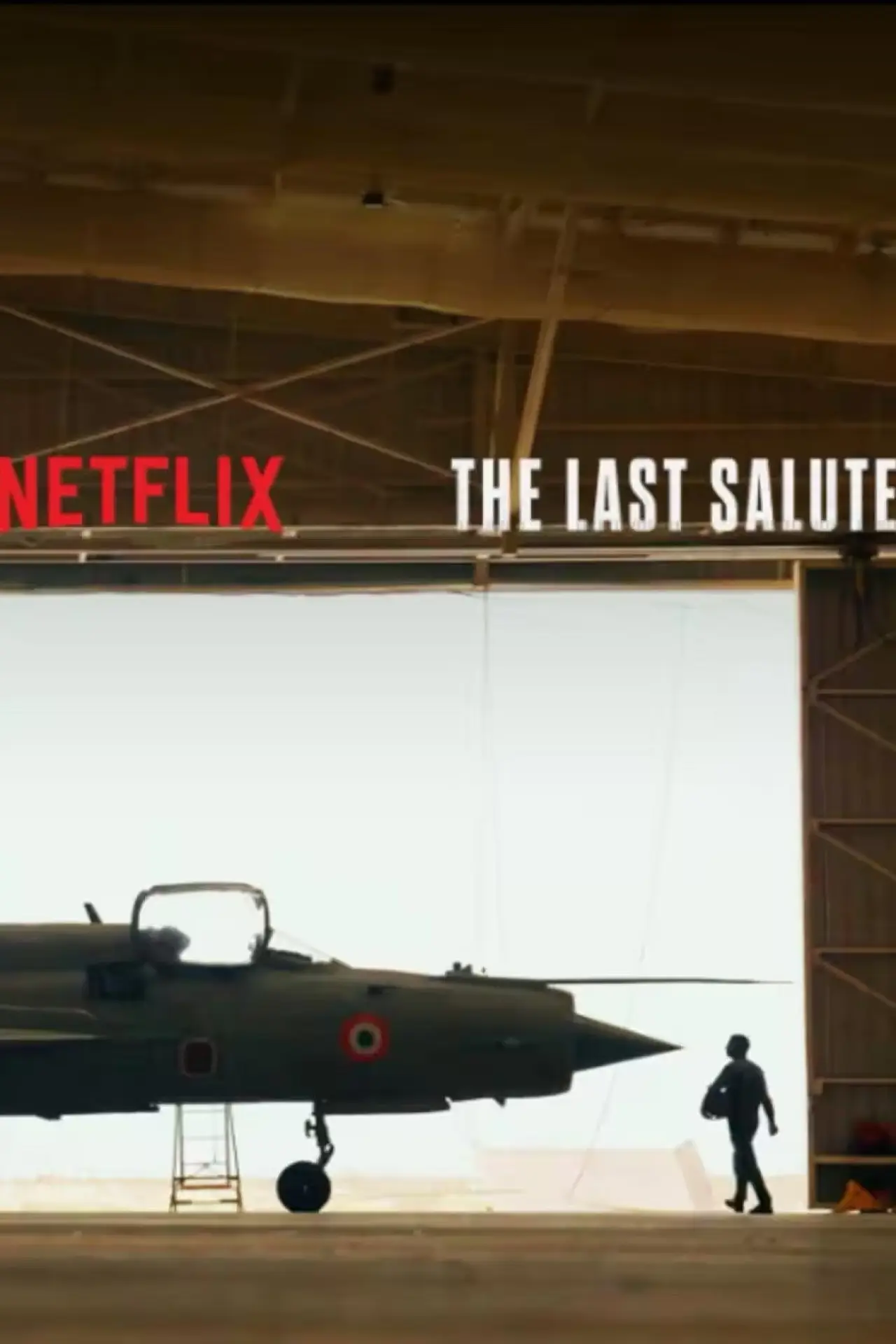 Постер до фільму "The Last Salute"