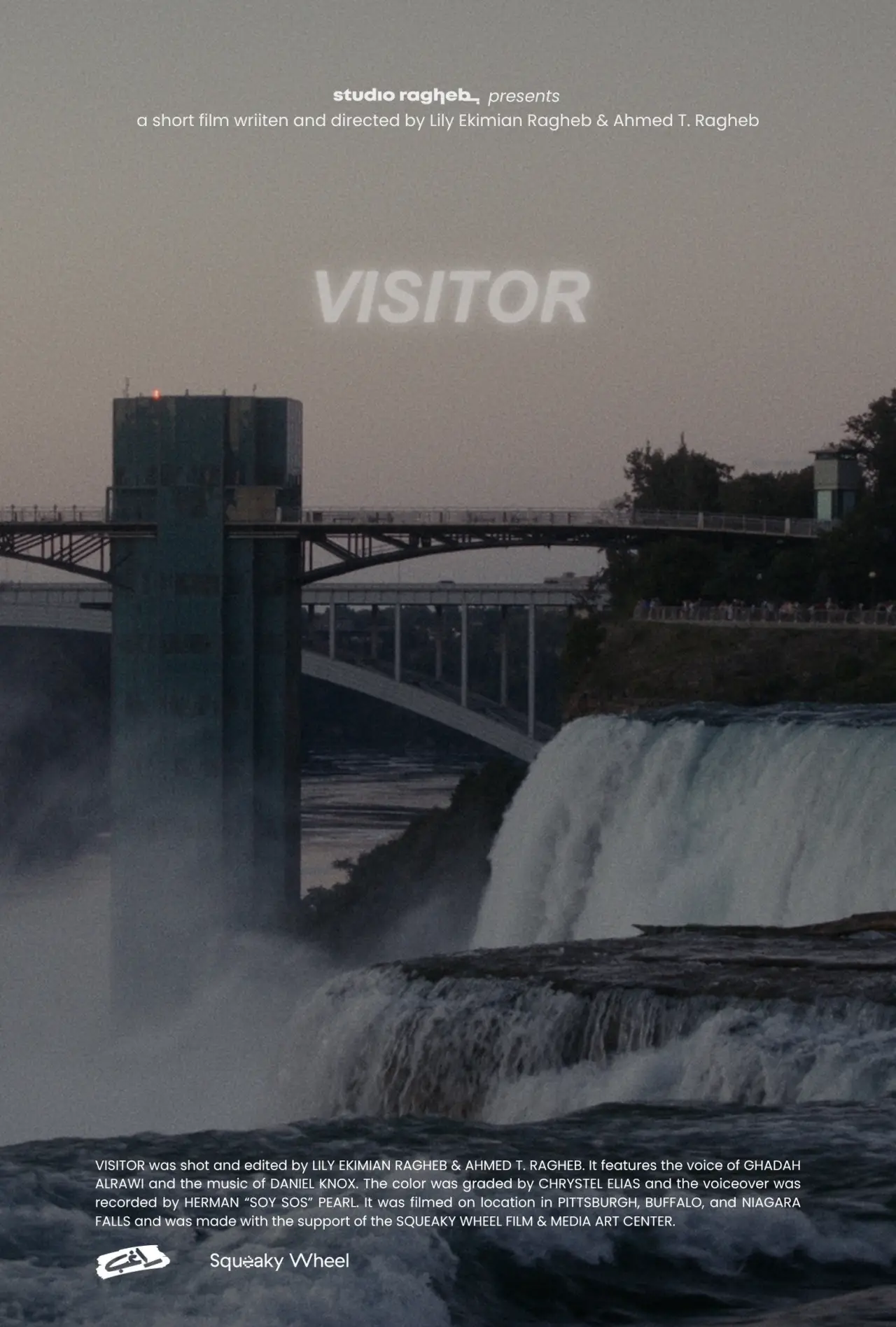 Постер до фільму "Visitor"