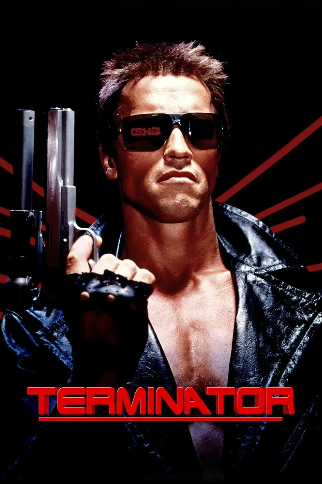 Постер до фільму "Terminator, des machines et des hommes... et une femme"