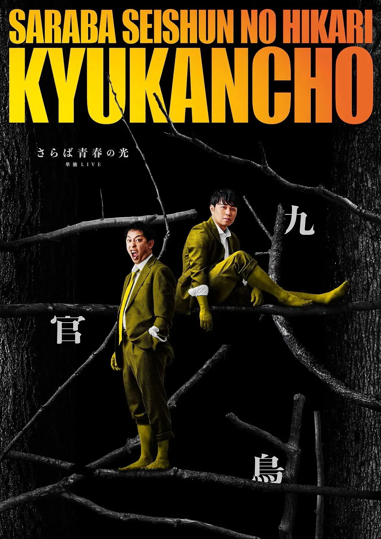 Постер до фільму "さらば青春の光「九官鳥」"