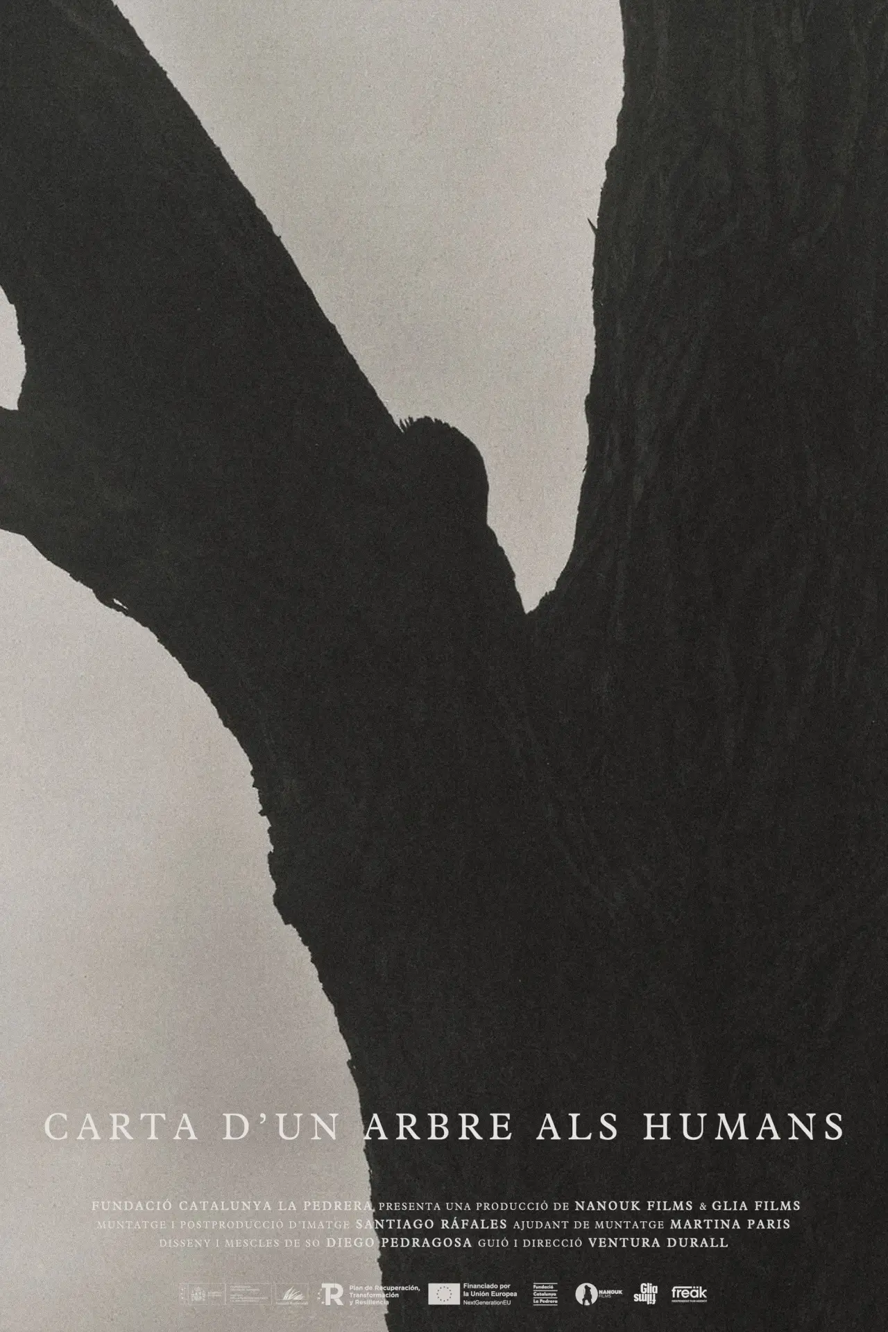 Постер до фільму "Carta d’un arbre als humans"