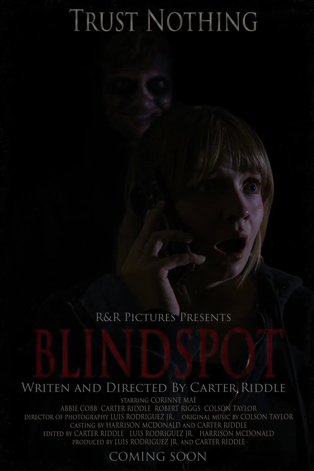 Постер до фільму "BLINDSPOT"