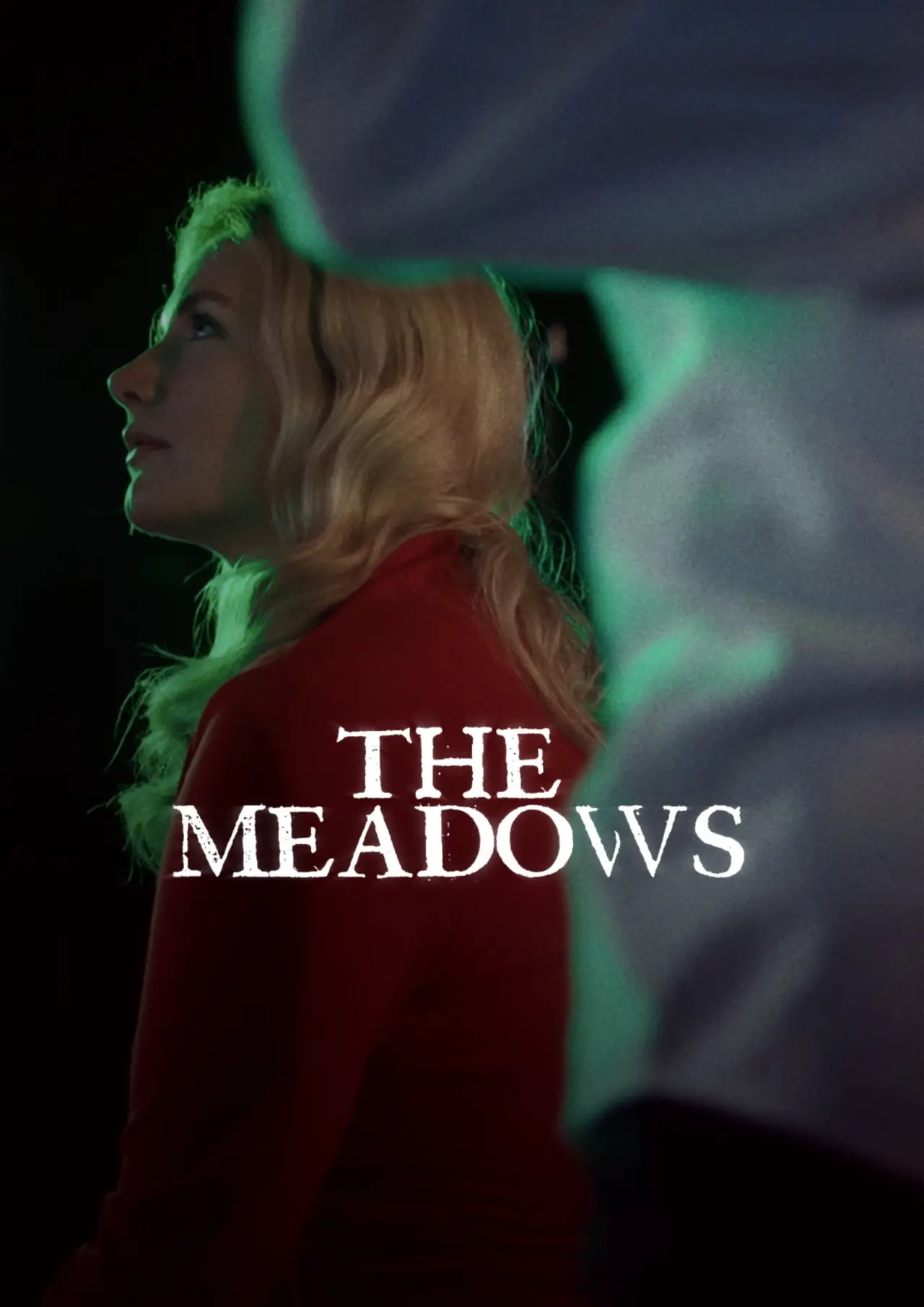 Постер до фільму "The Meadows"