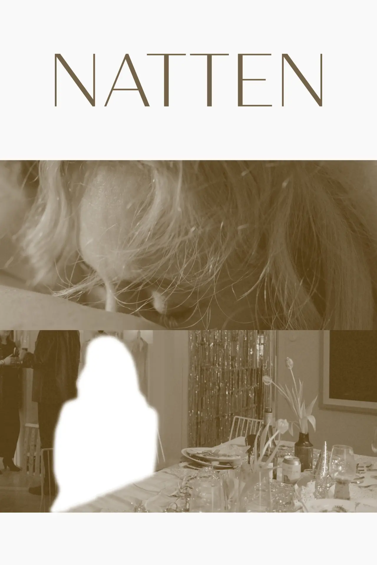 Постер до фільму "Natten"