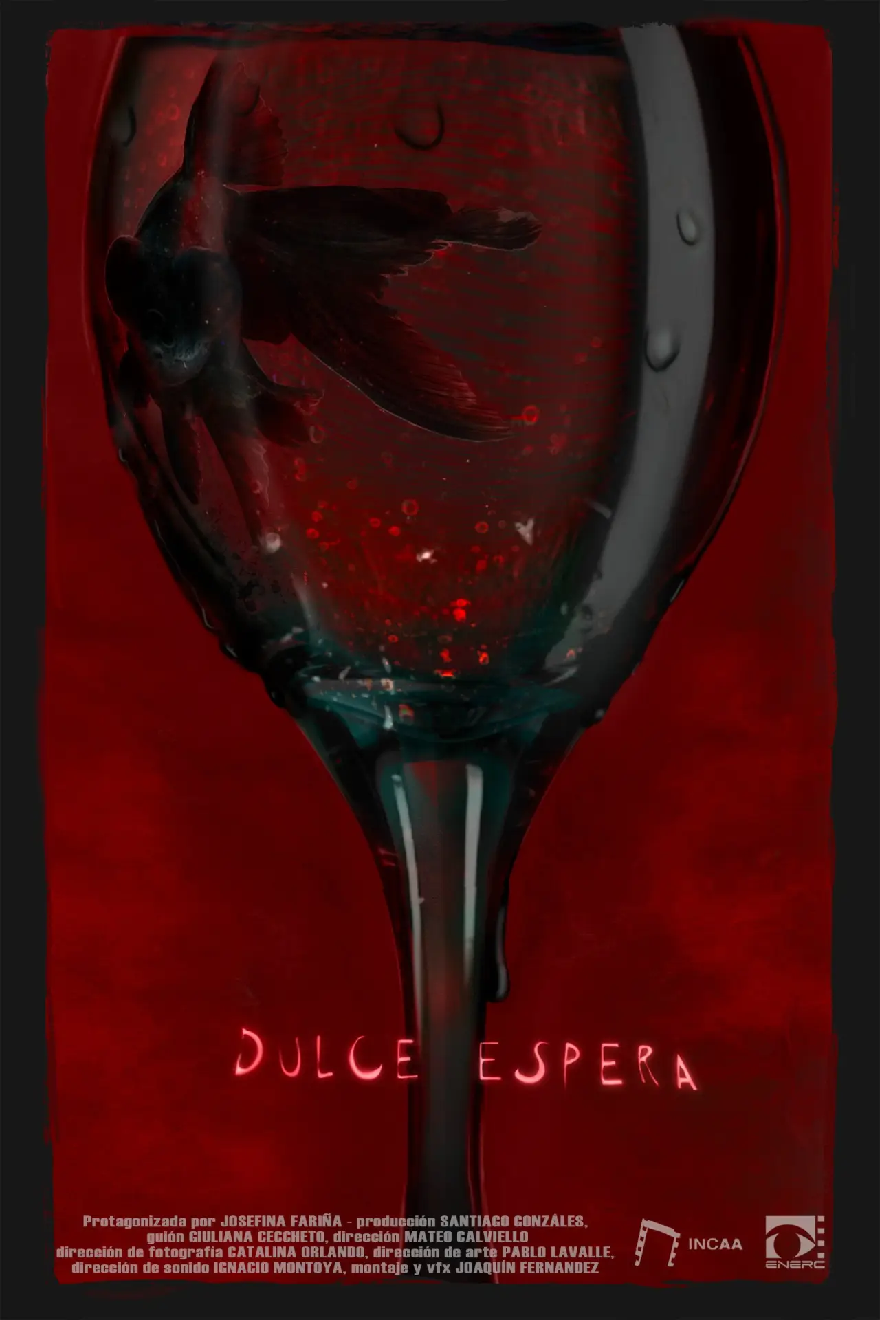 Постер до фільму "Dulce espera"