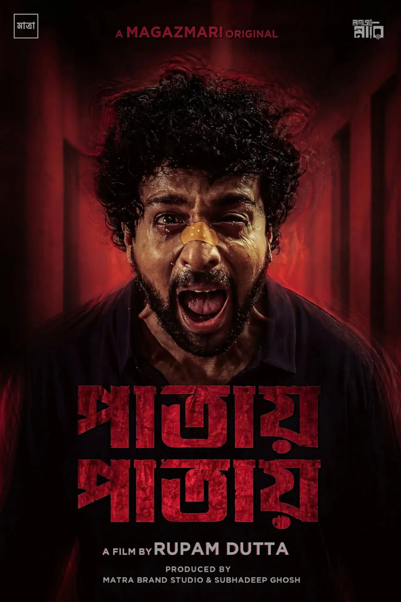Постер до фільму "পাতায় পাতায়"