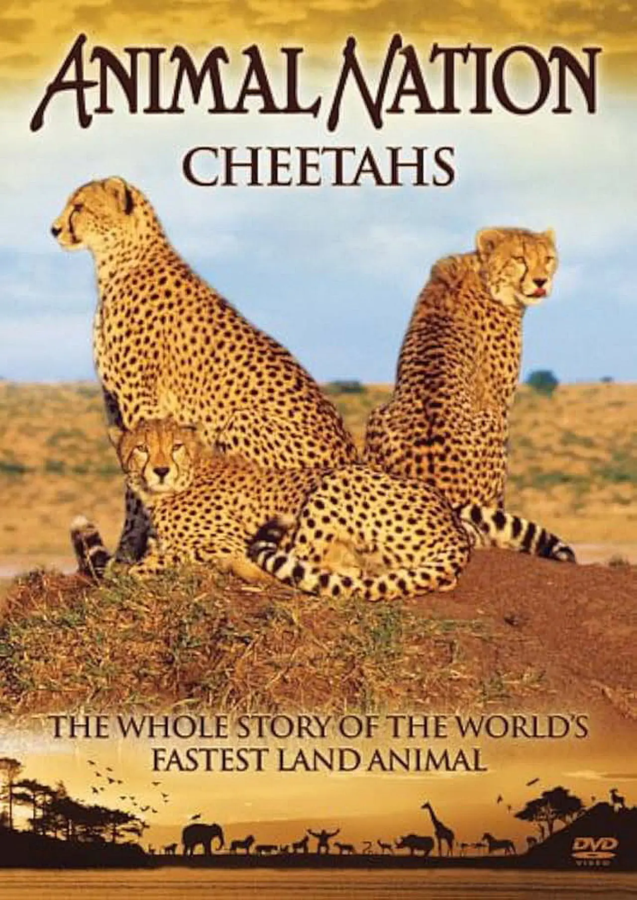Постер до фільму "Animal Nation Cheetahs"