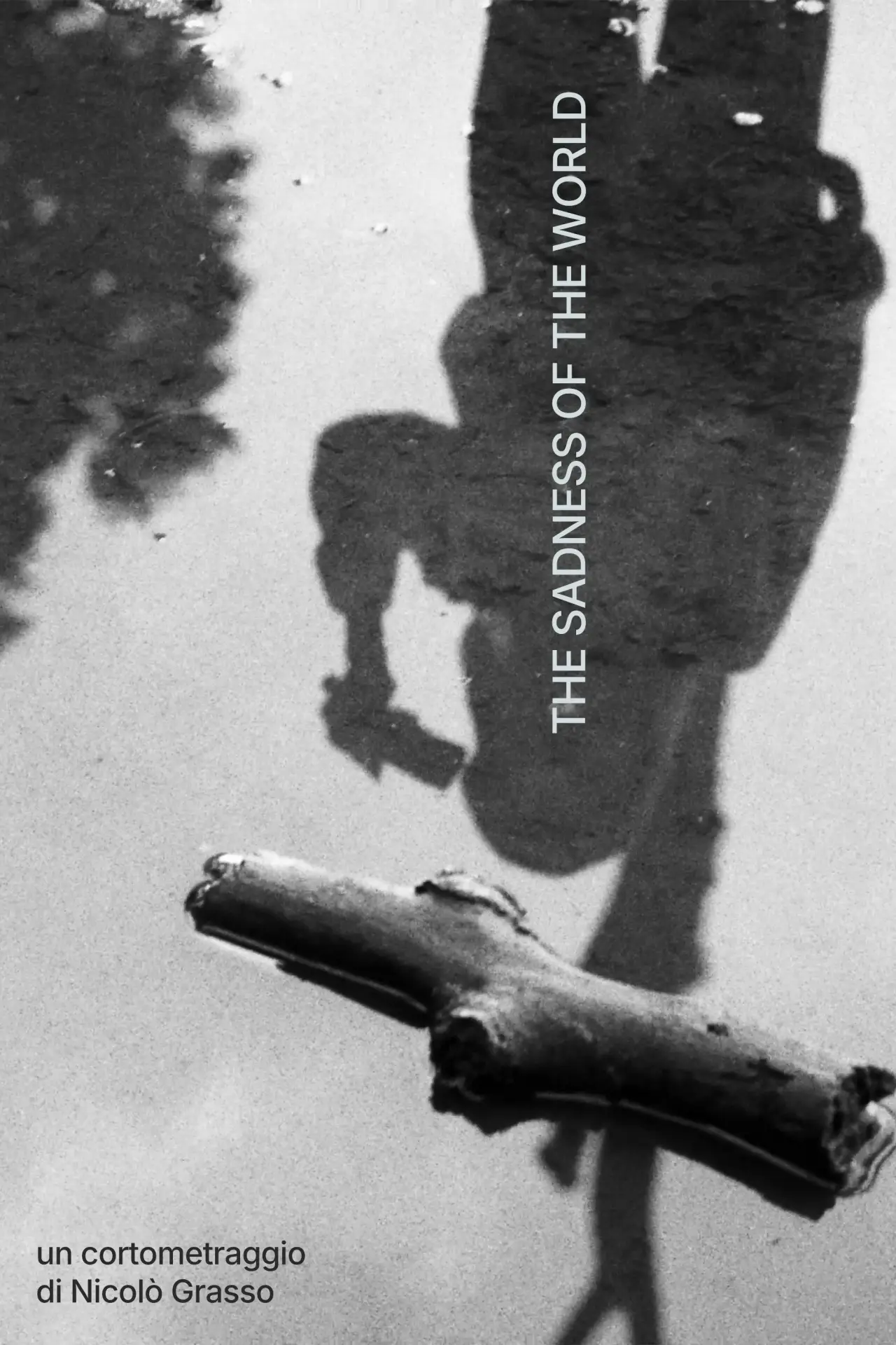 Постер до фільму "The Sadness of the World"