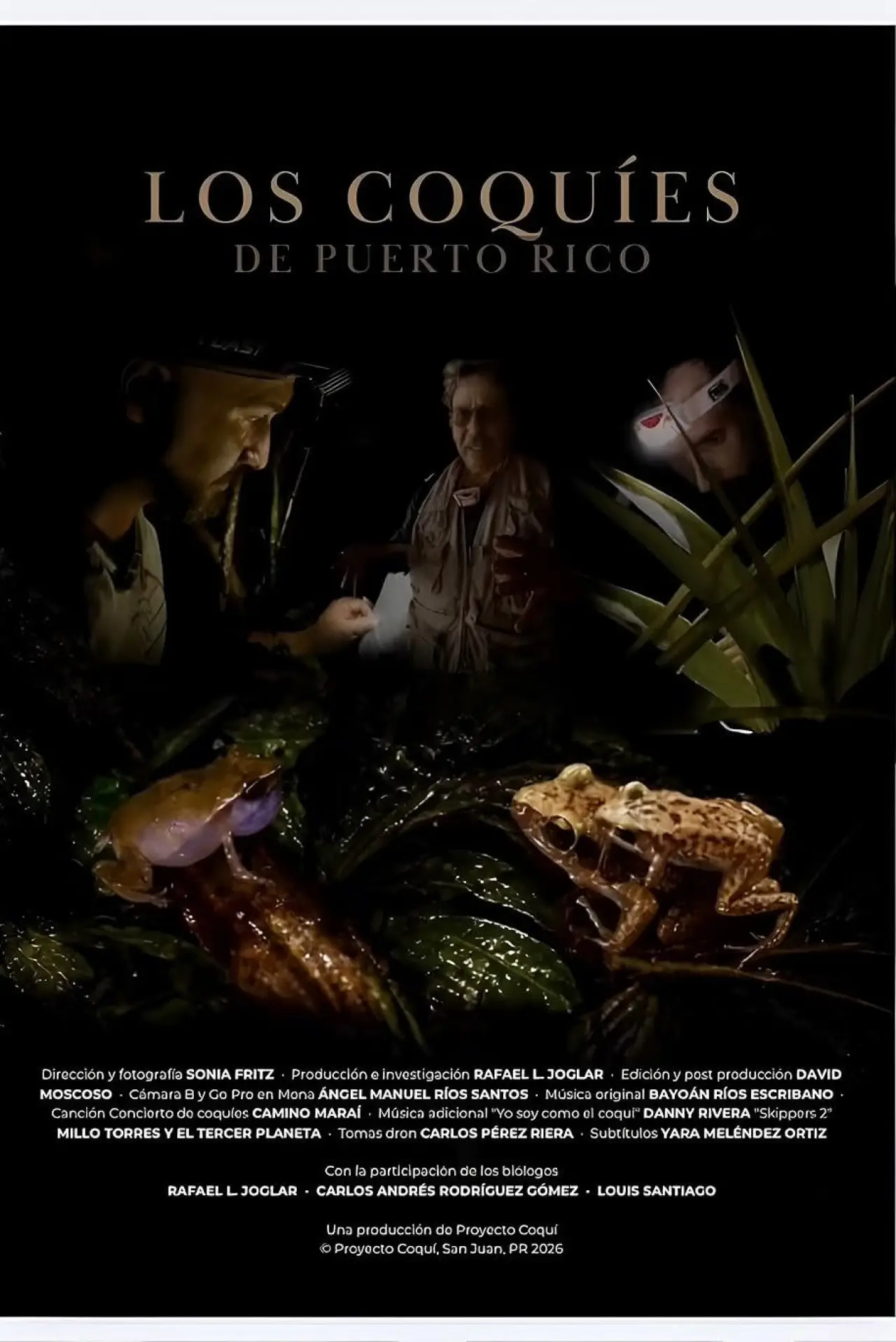 Постер до фільму "Los Coquíes de Puerto Rico"