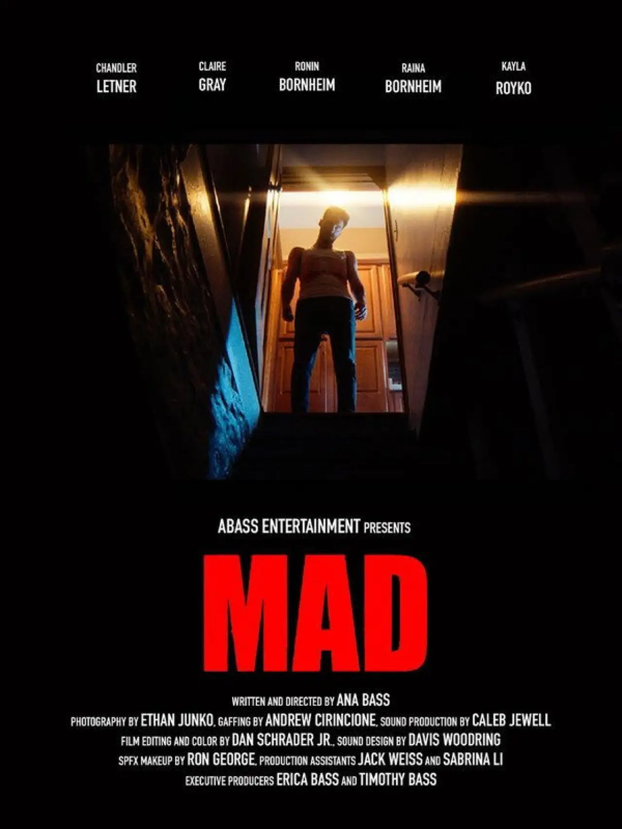 Постер до фільму "MAD"