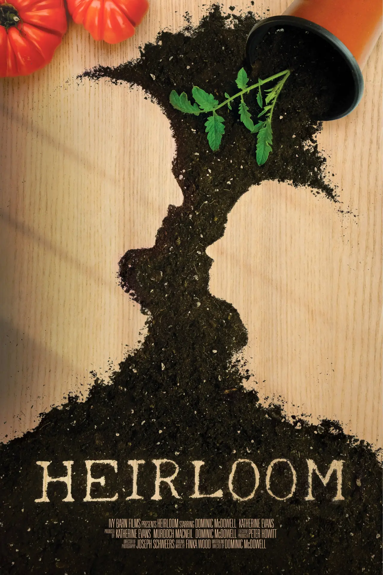 Постер до фільму "Heirloom"
