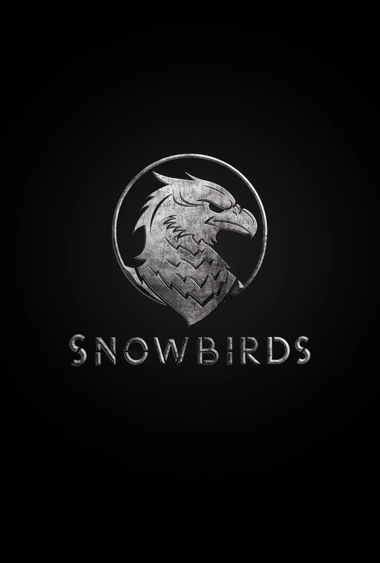 Постер до фільму "Snowbirds"