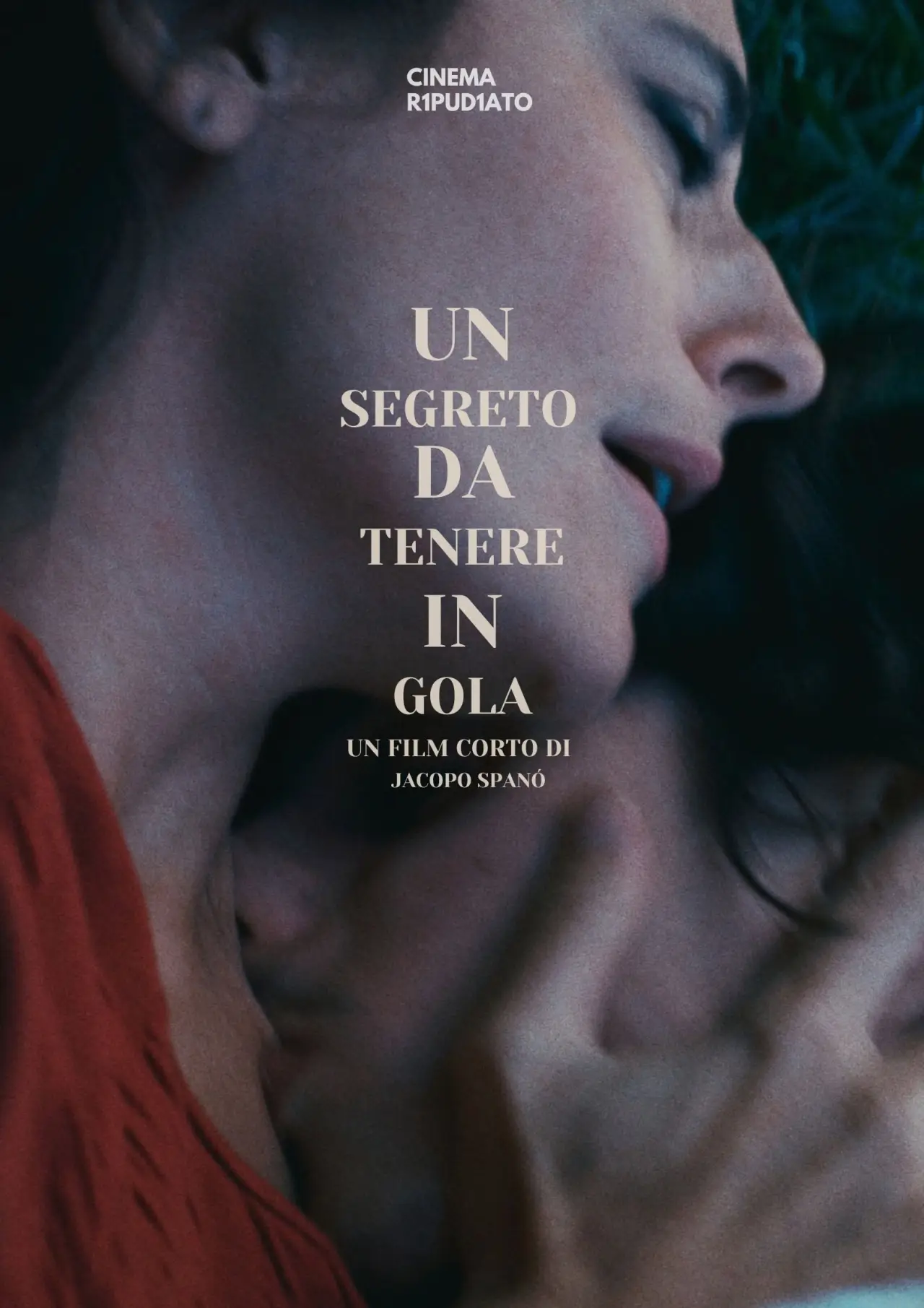 Постер до фільму "Un segreto da tenere in gola"