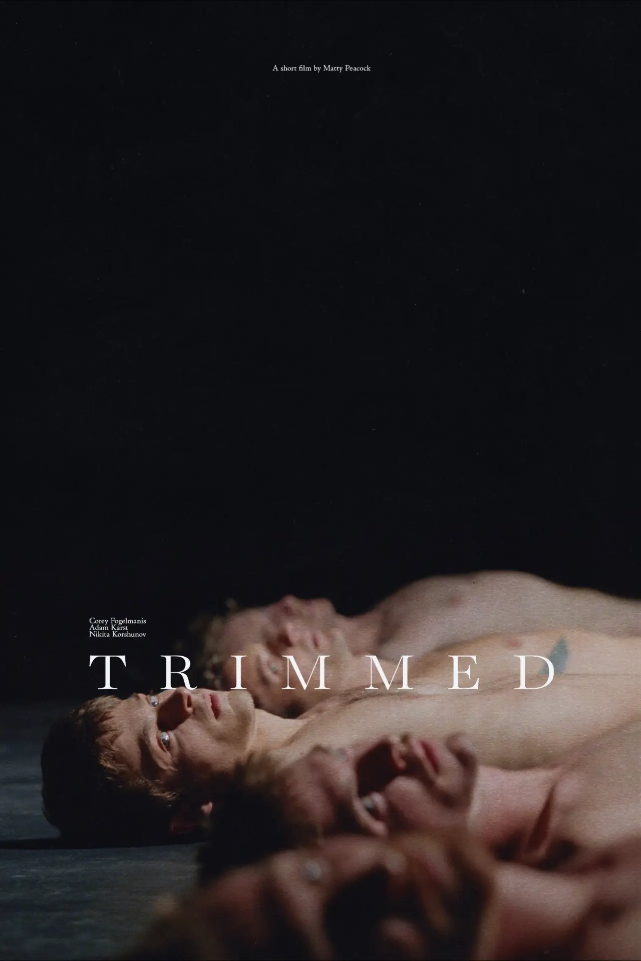 Постер до фільму "Trimmed"