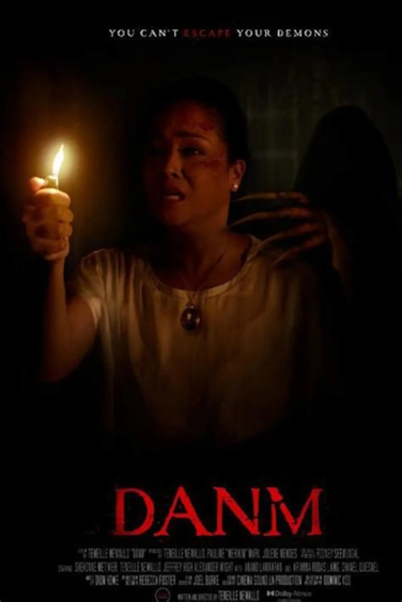 Постер до фільму "Danm"