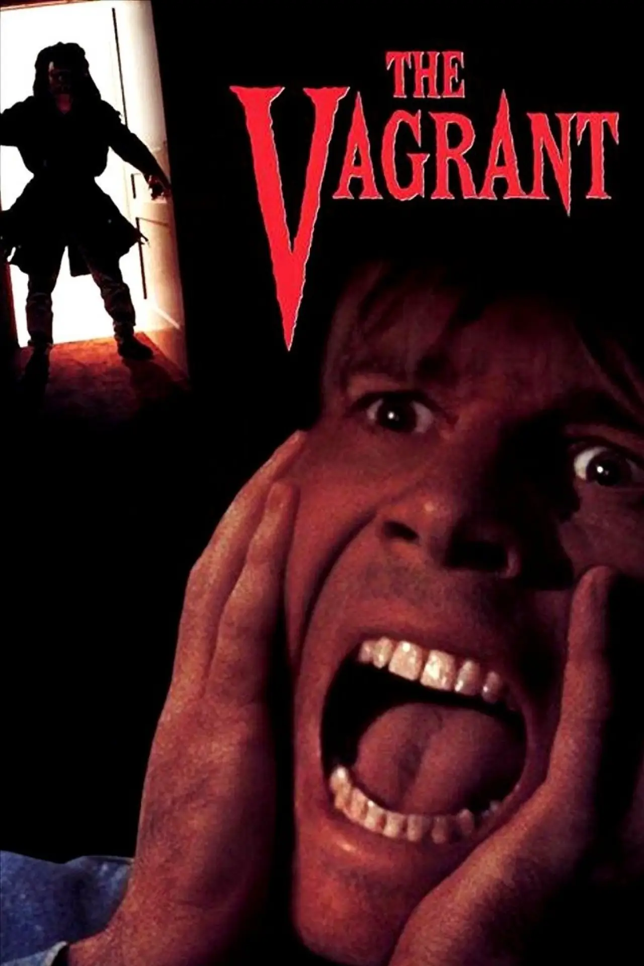 Постер до фільму "The Vagrant"