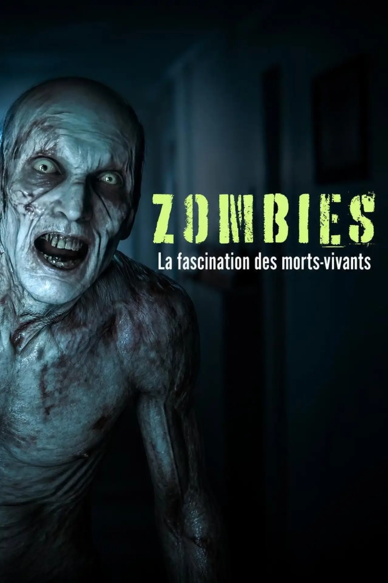Постер до фільму "Zombies: Faszination der Untoten"