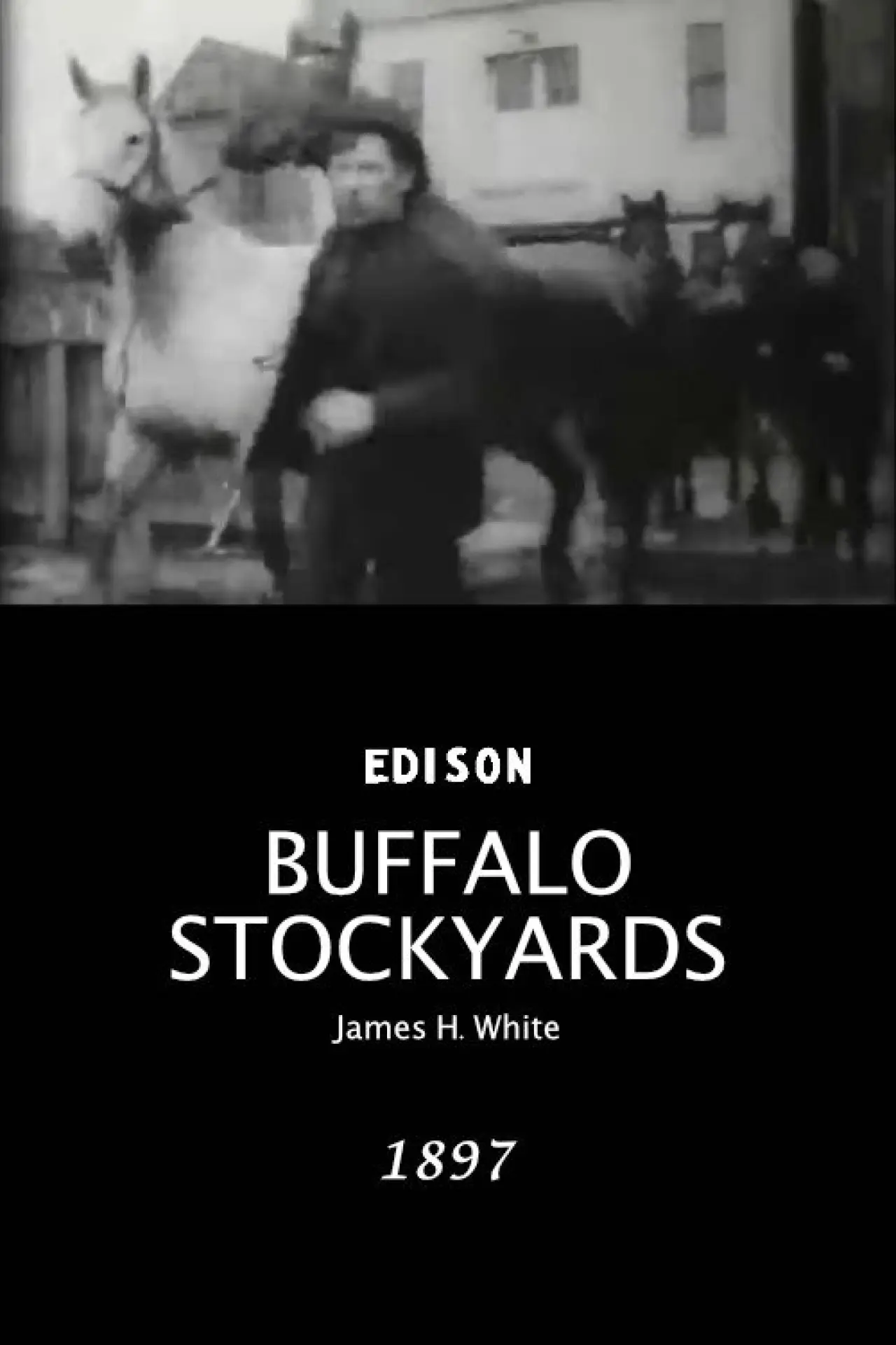 Постер до фільму "Buffalo Stockyards"