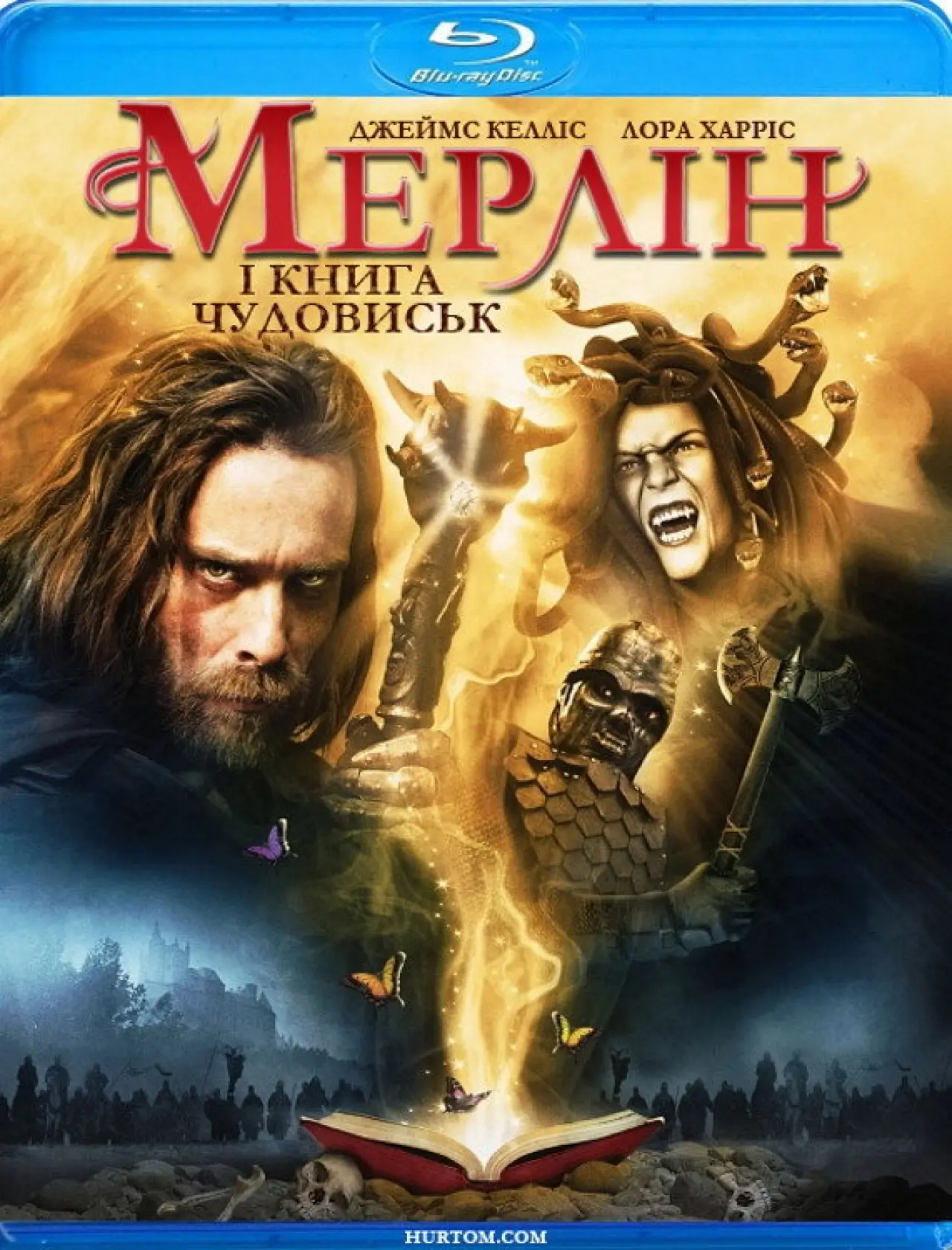 Постер до фільму "Мерлін і книга тварин"