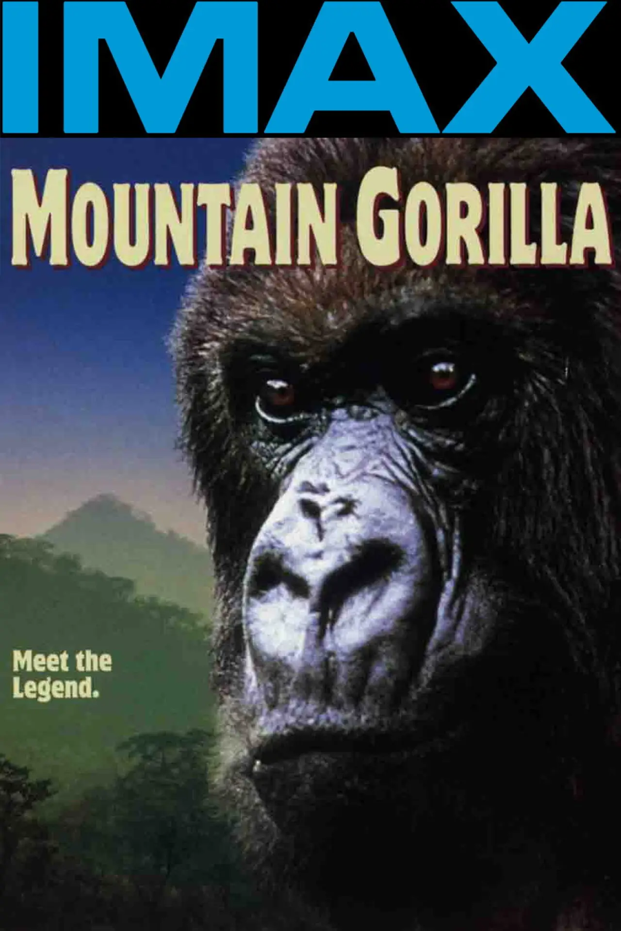 Постер до фільму "Mountain Gorilla"