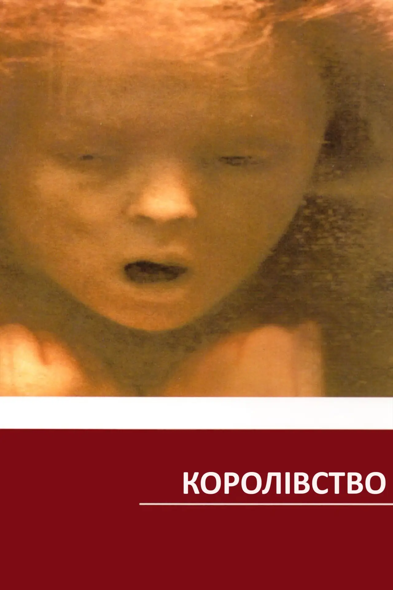 Постер до фільму "Королівство"