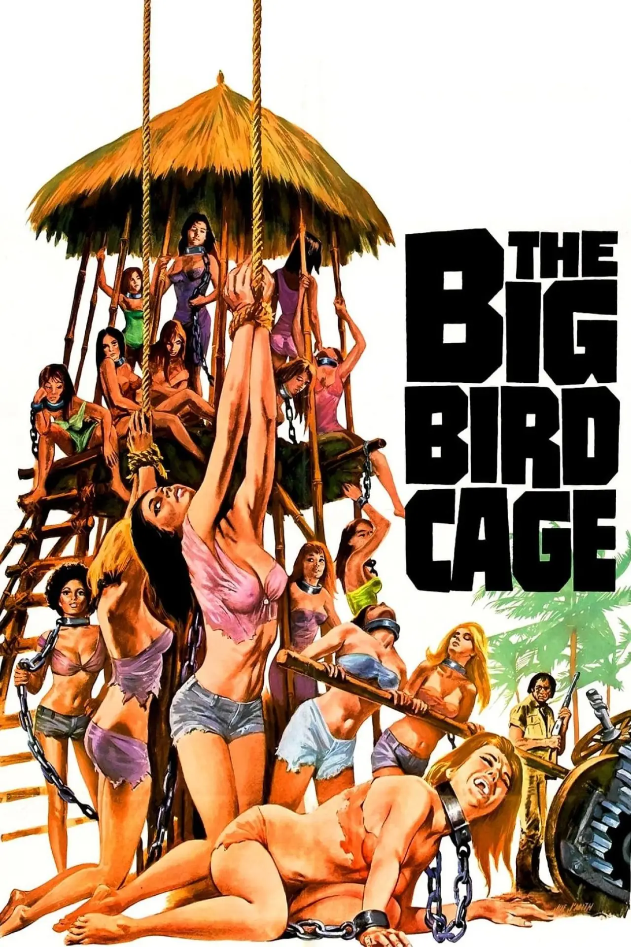 Постер до фільму "The Big Bird Cage"