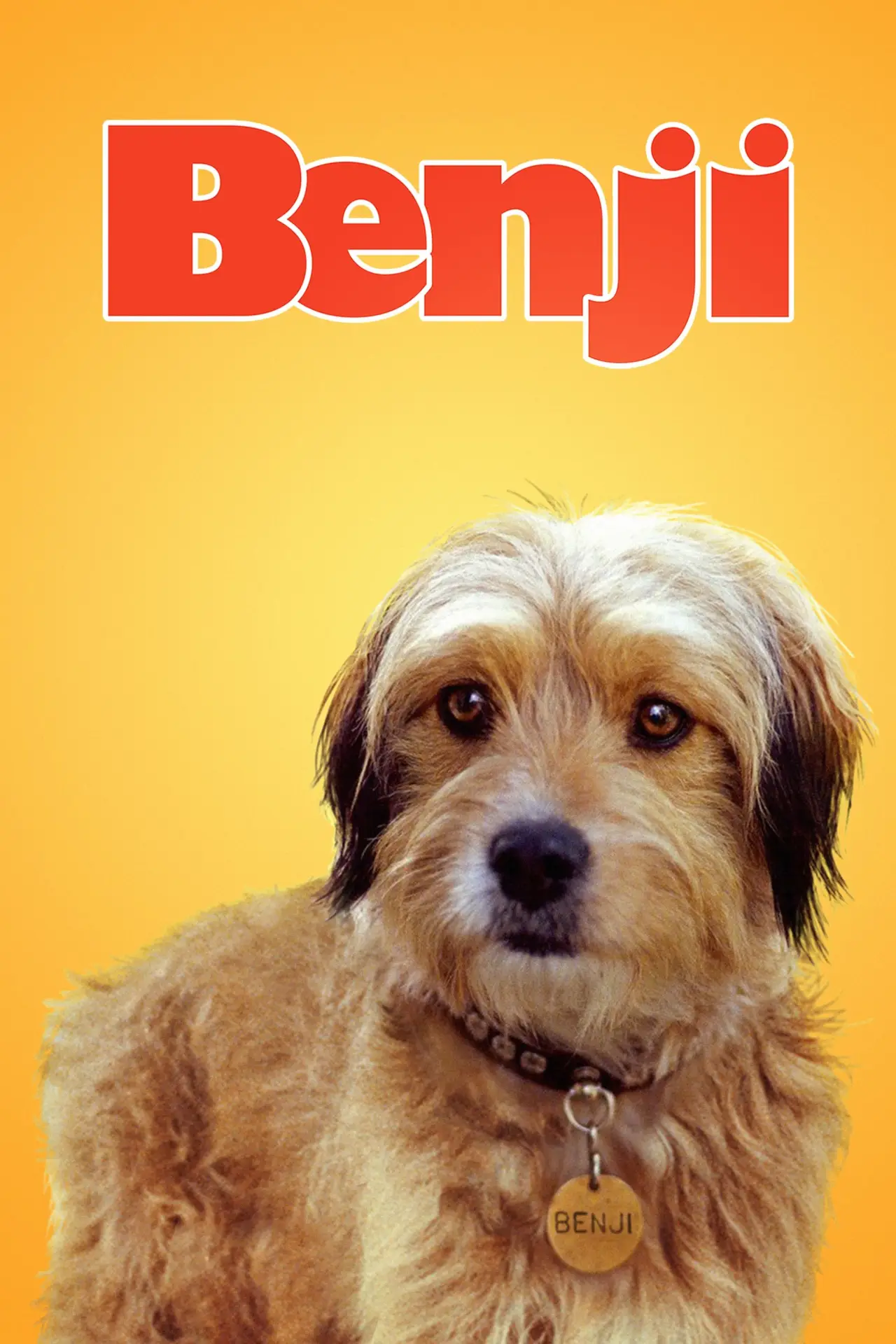 Постер до фільму "Benji"