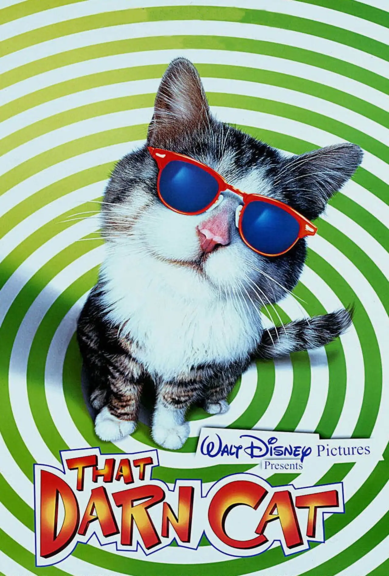 Постер до фільму "That Darn Cat"