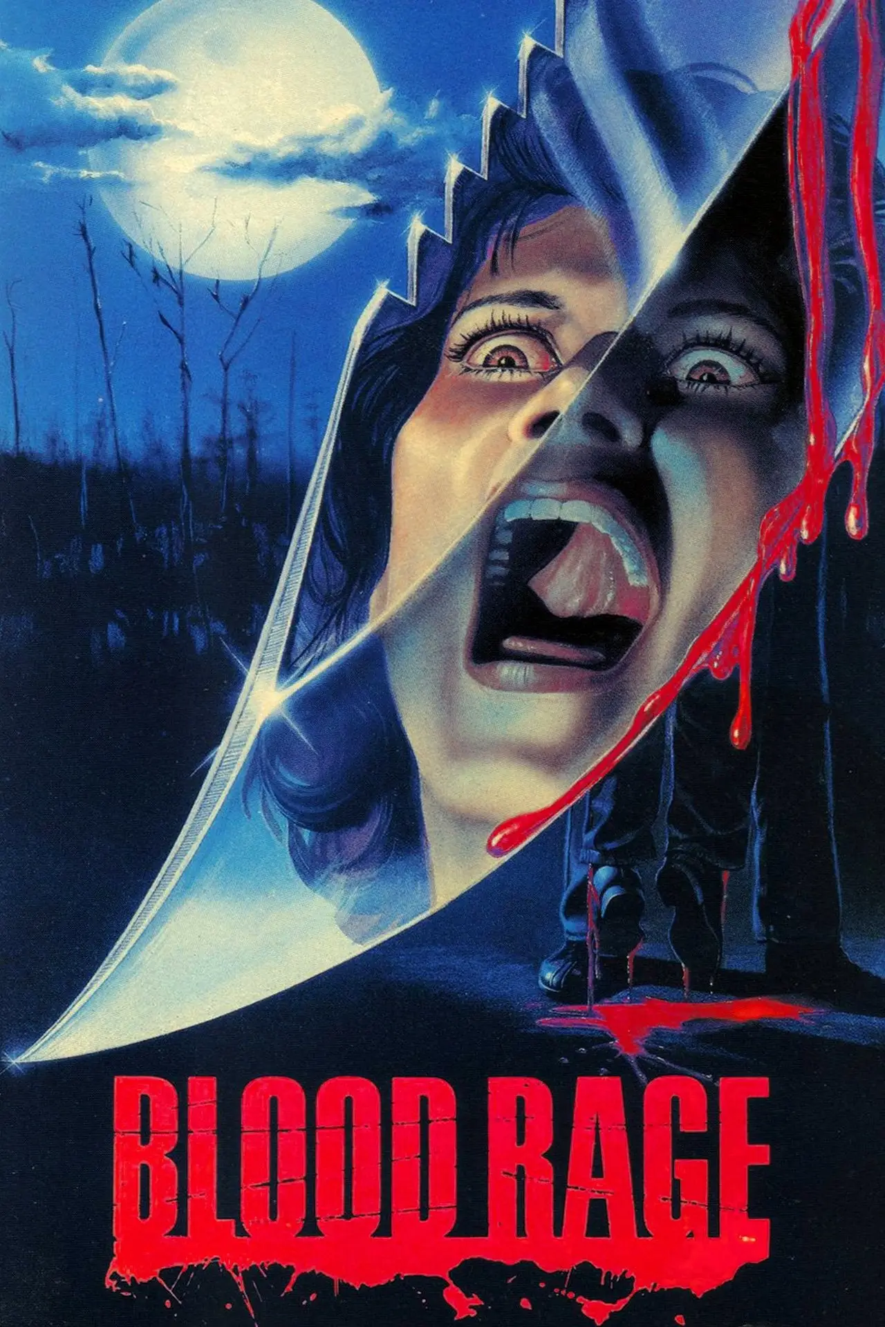 Постер до фільму "Nightmare at Shadow Woods"