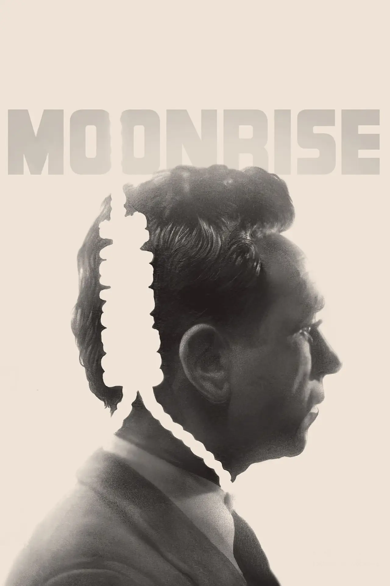 Постер до фільму "Moonrise"