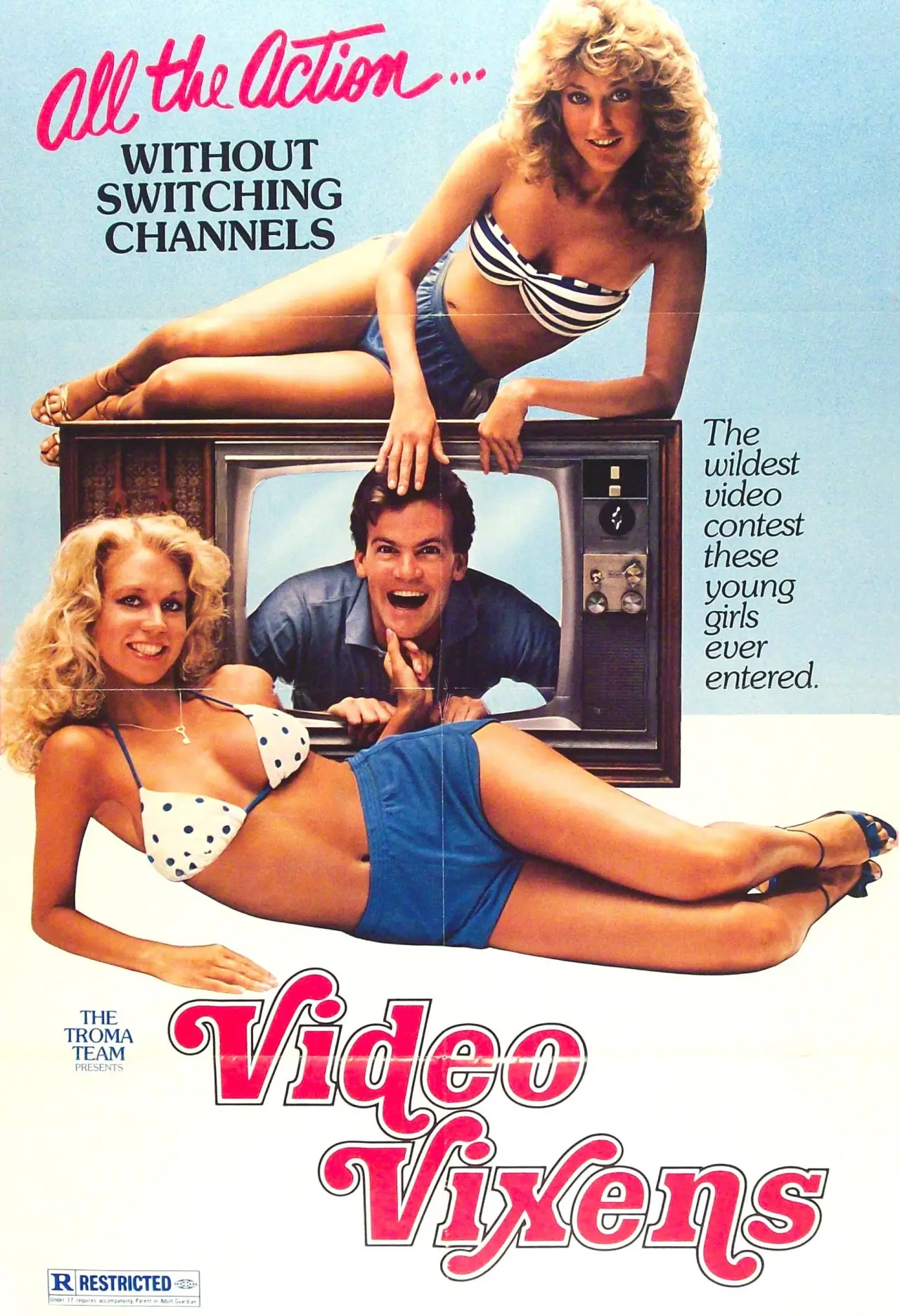 Постер до фільму "Video Vixens!"