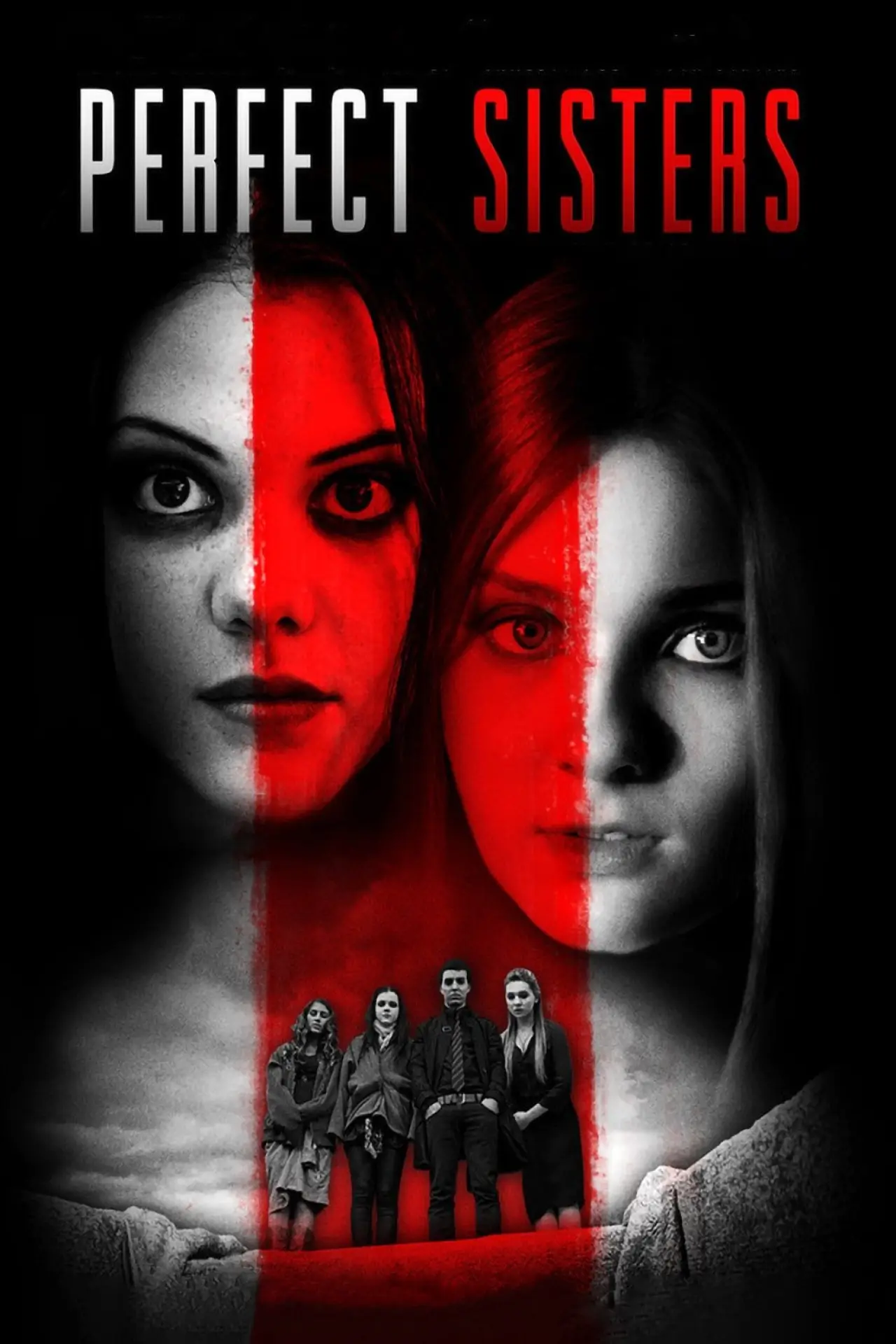 Постер до фільму "Perfect Sisters"