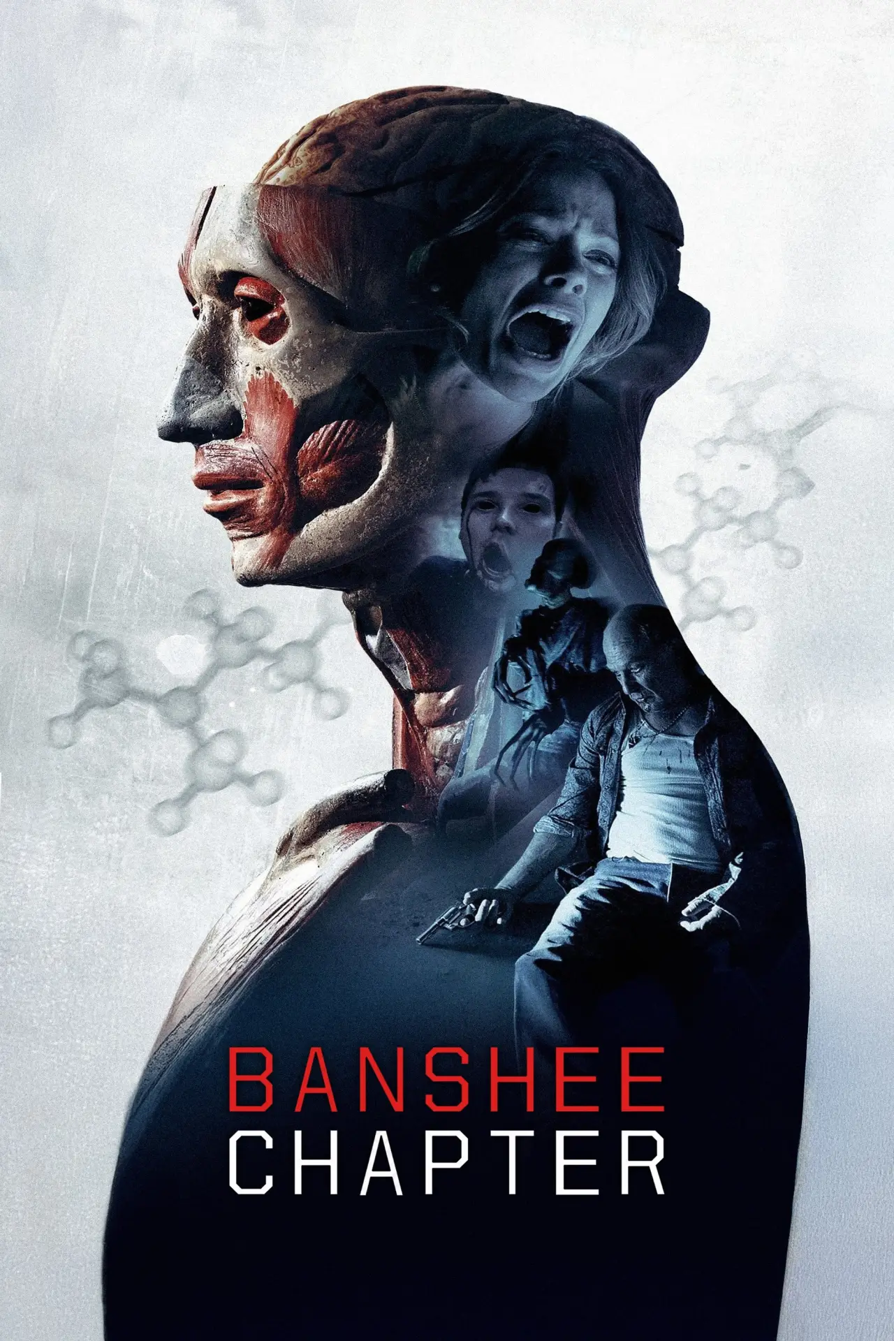 Постер до фільму "Banshee Chapter"