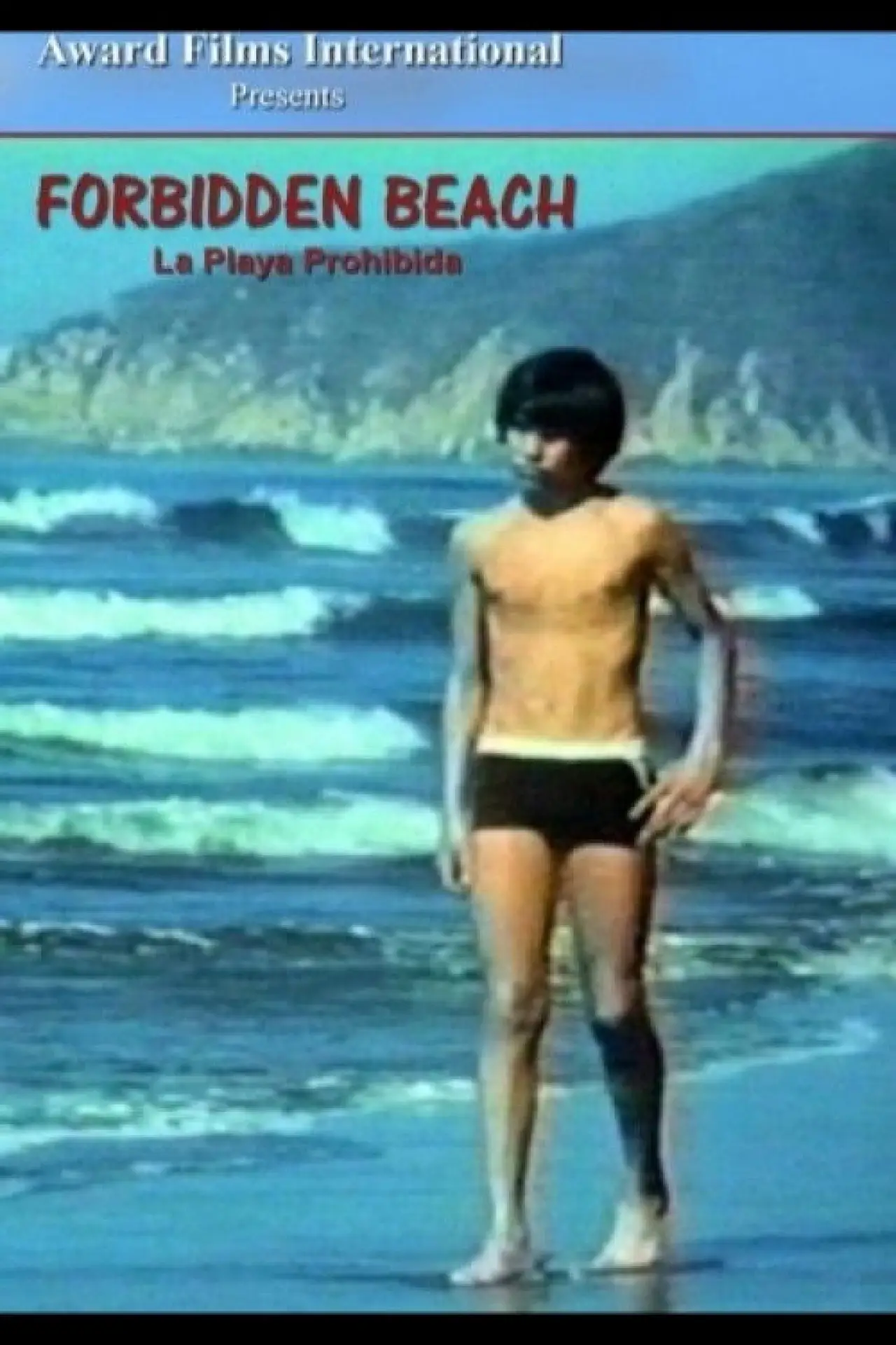 Постер до фільму "Playa prohibida"