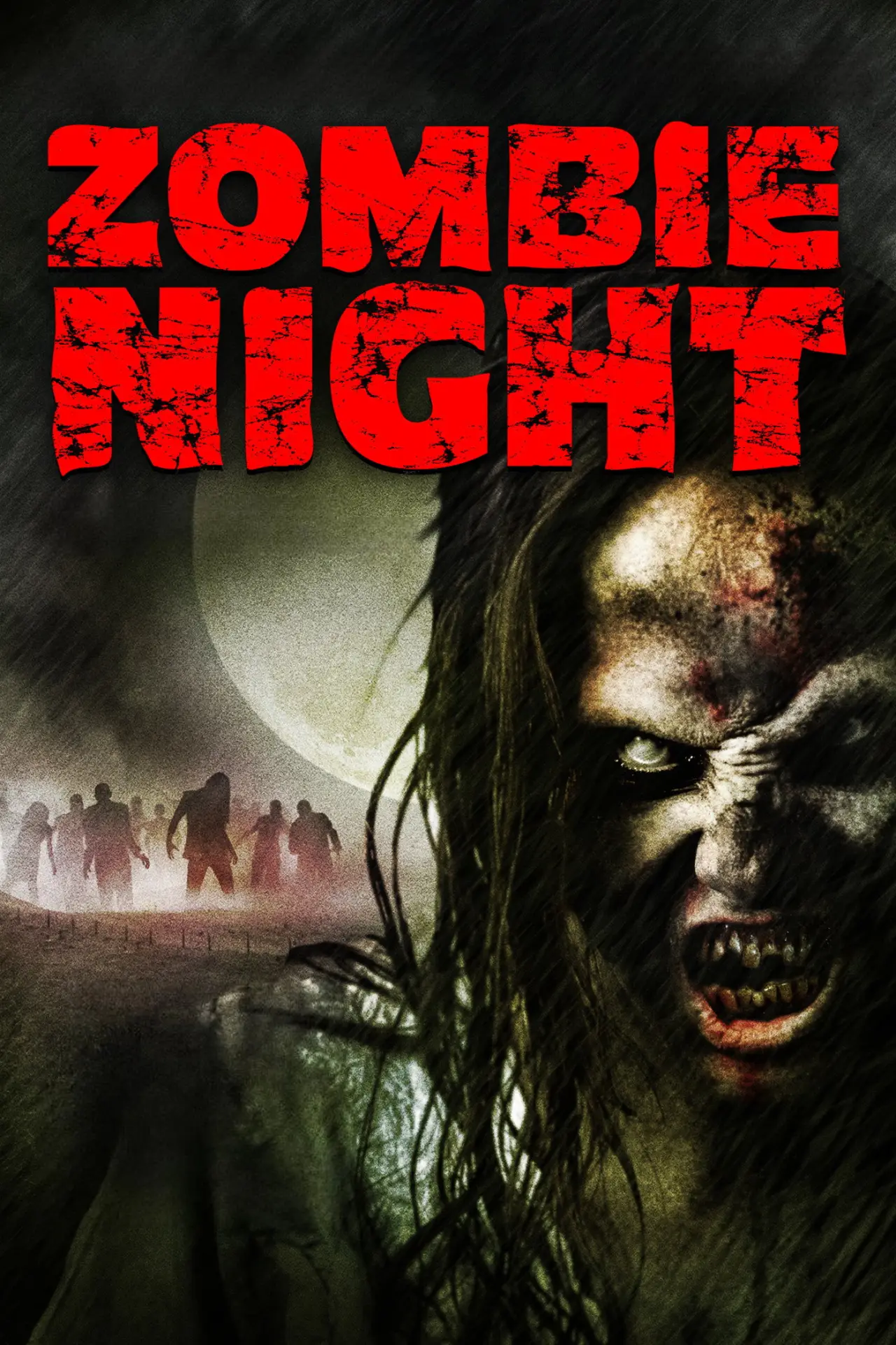 Постер до фільму "Zombie Night"