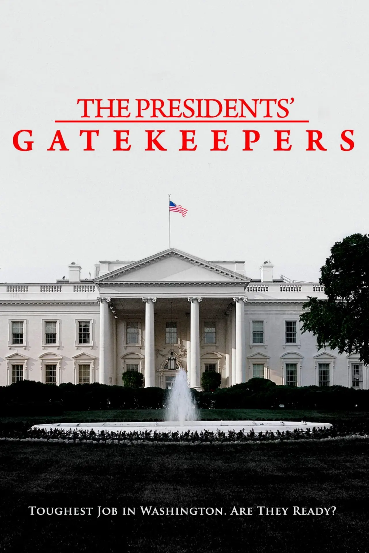 Постер до фільму "The Presidents