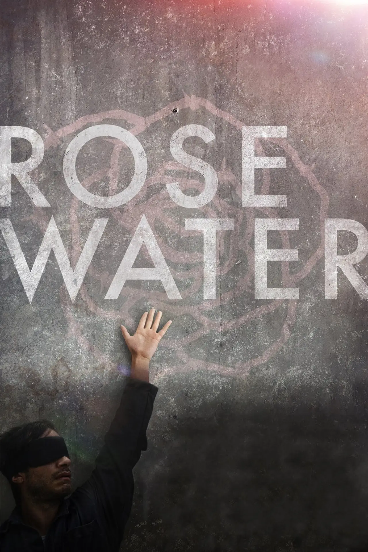 Постер до фільму "Rosewater"