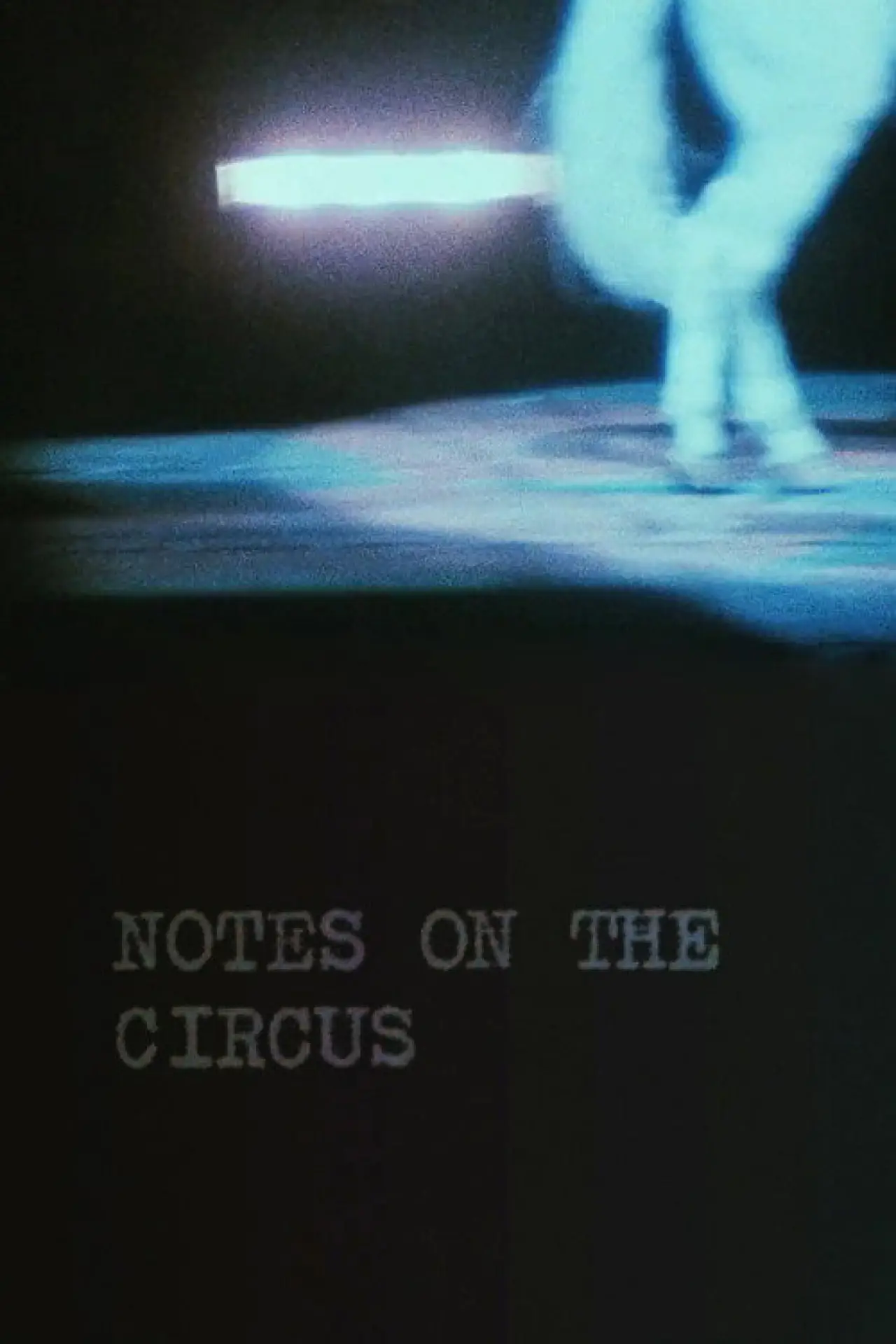 Постер до фільму "Notes on the Circus"