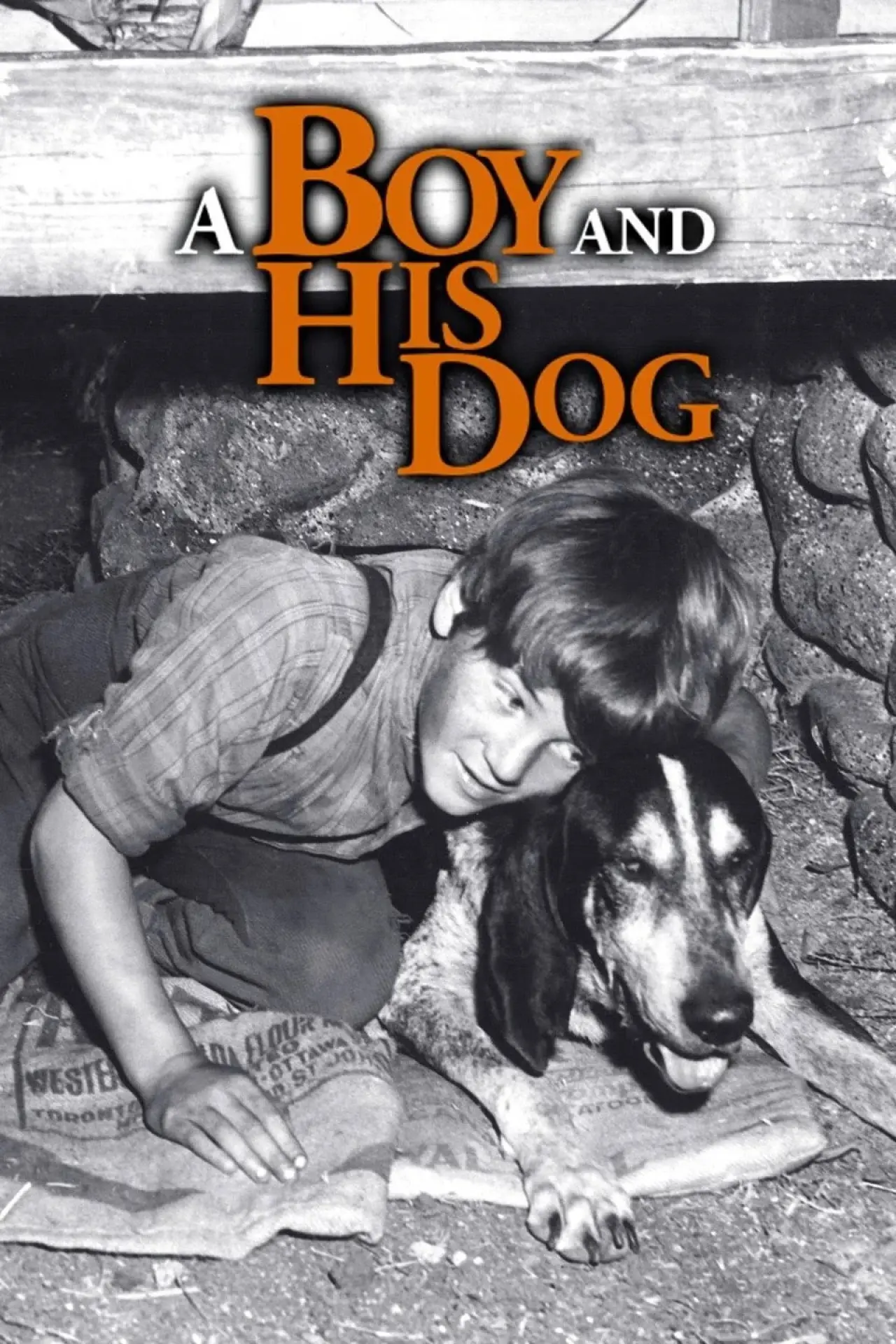 Постер до фільму "A Boy and His Dog"