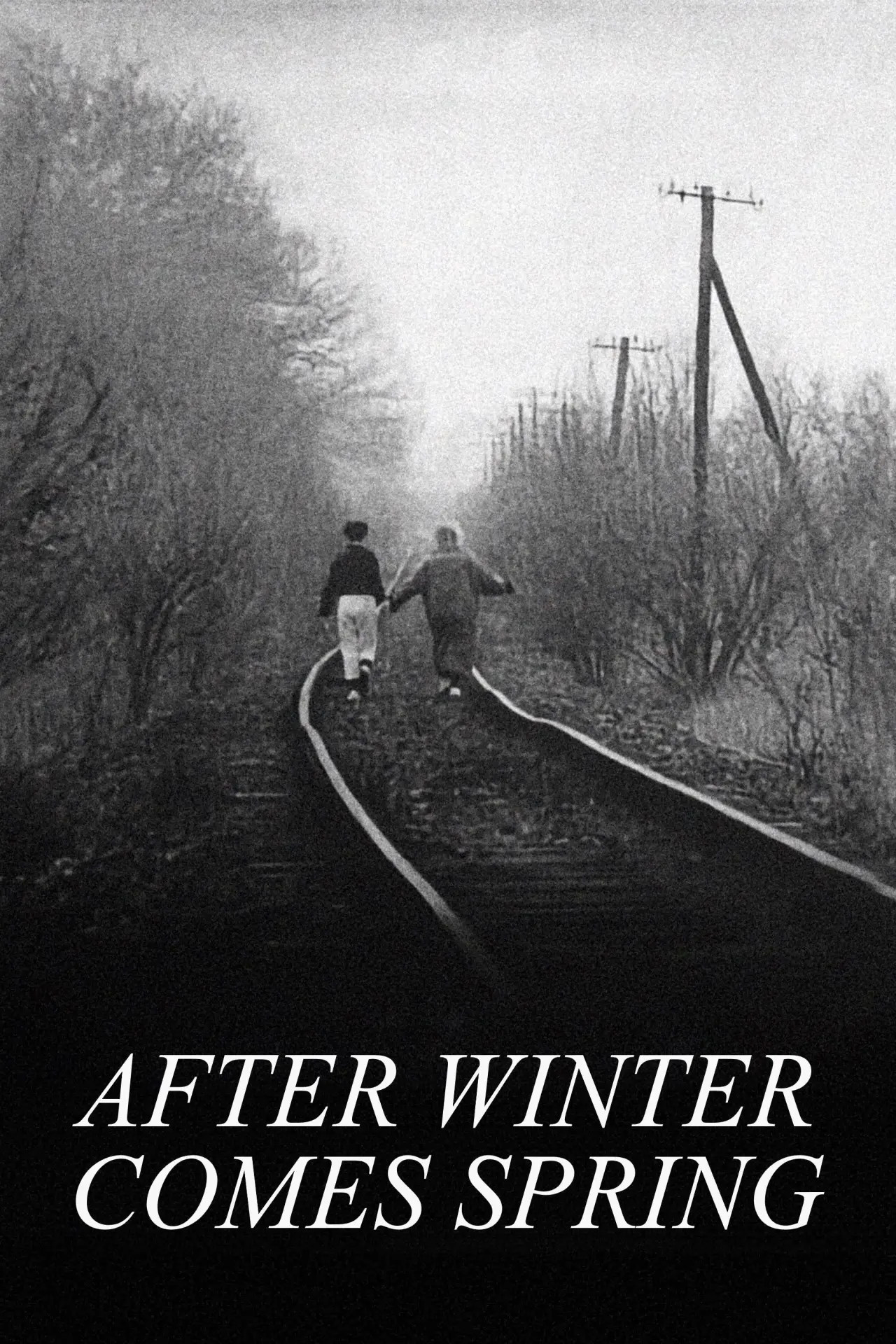 Постер до фільму "Winter adé"