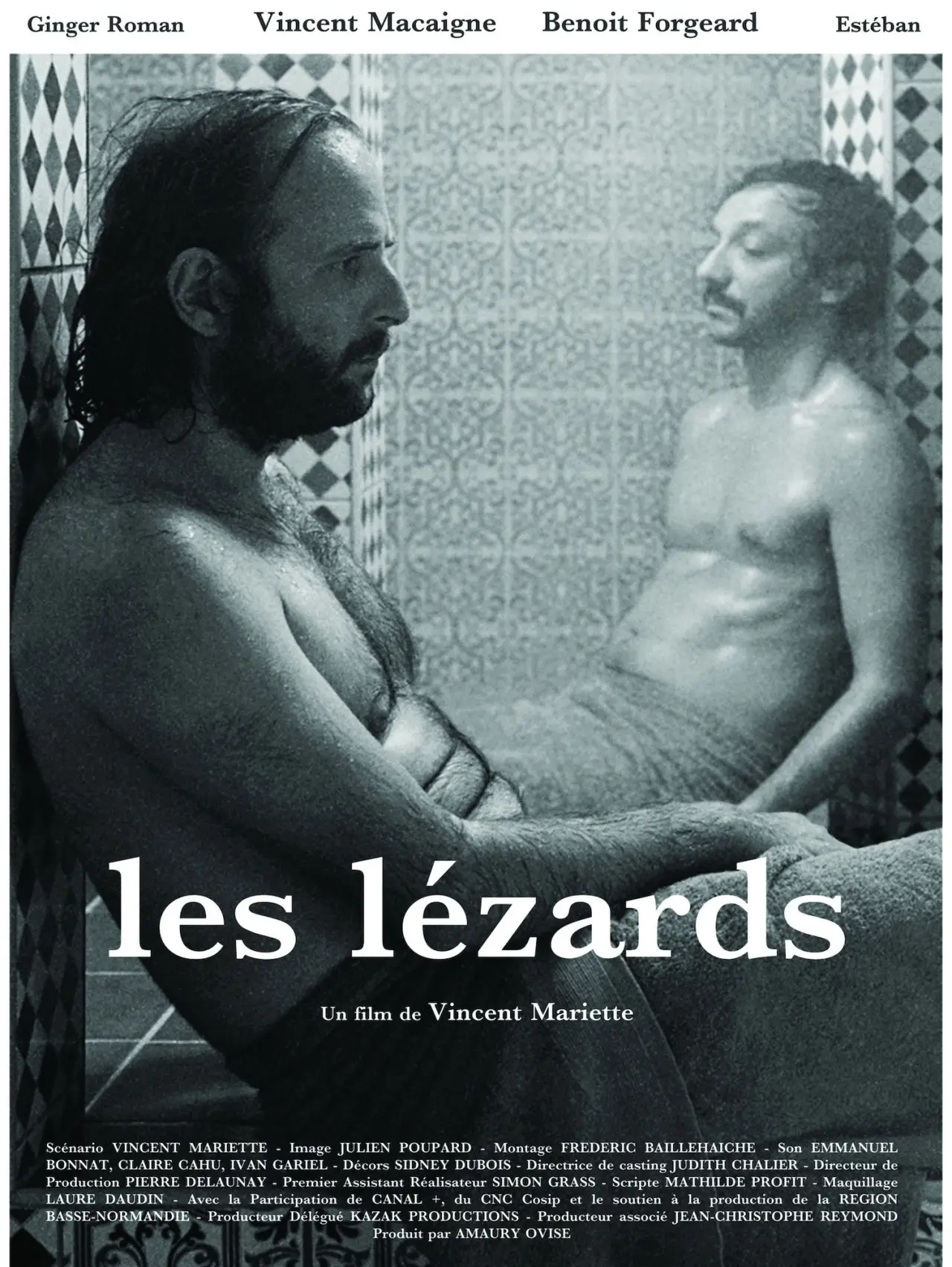 Постер до фільму "Les lézards"