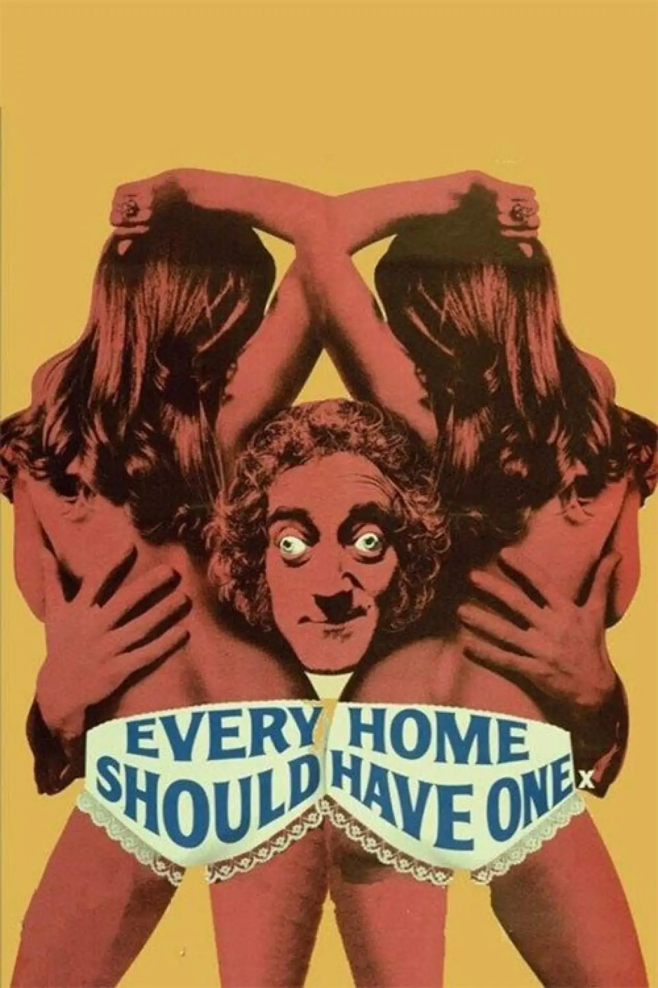 Постер до фільму "Every Home Should Have One"