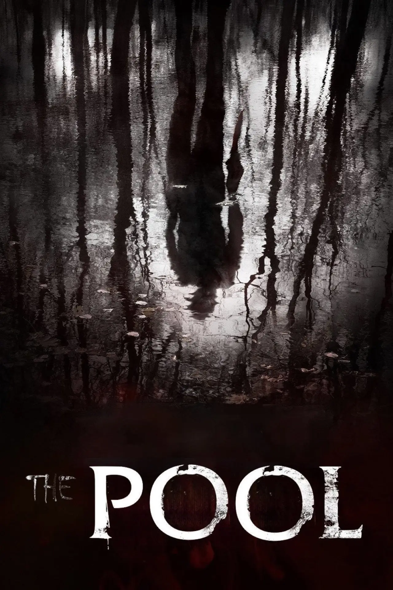 Постер до фільму "De Poel"