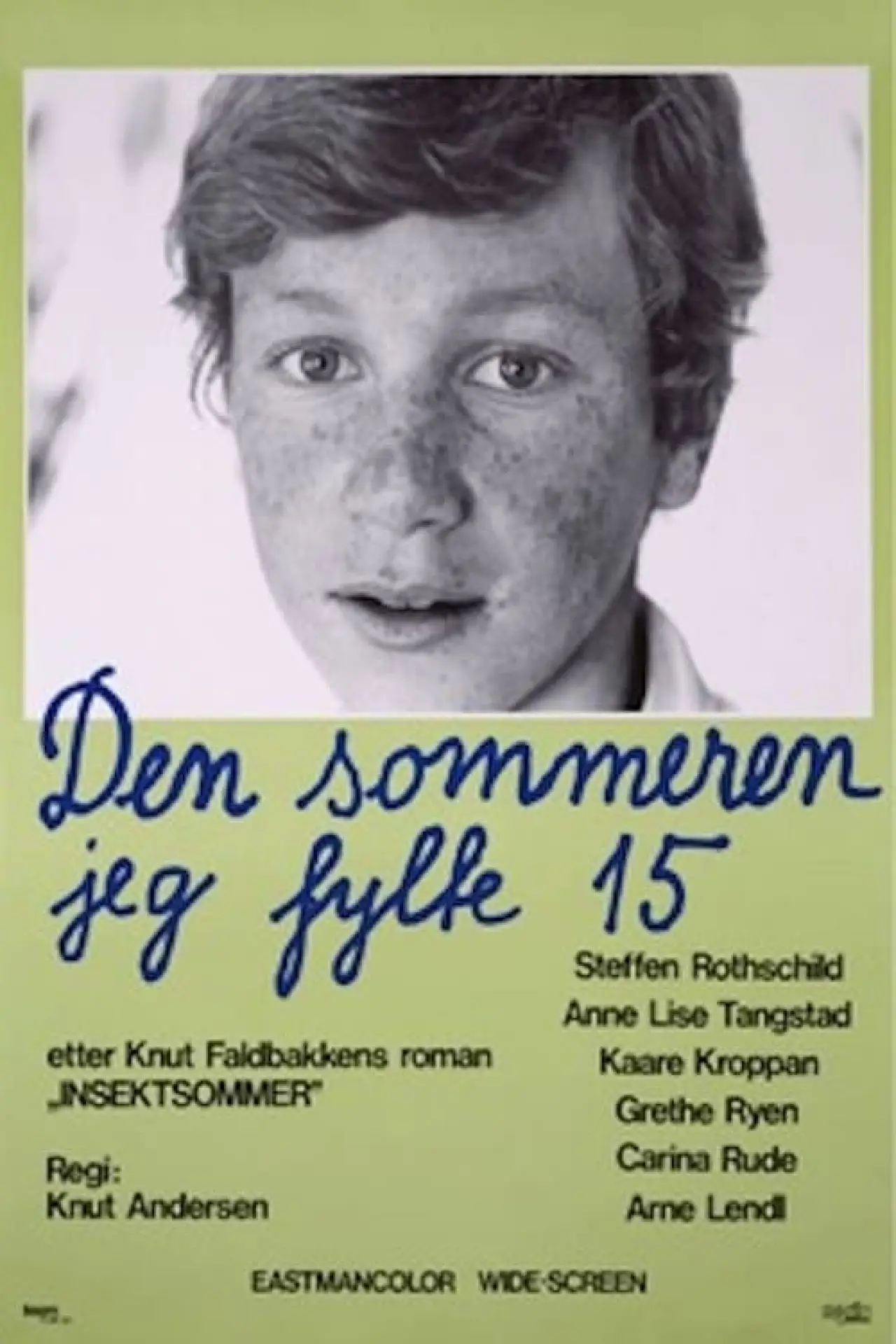 Постер до фільму "Den sommeren jeg fylte 15"