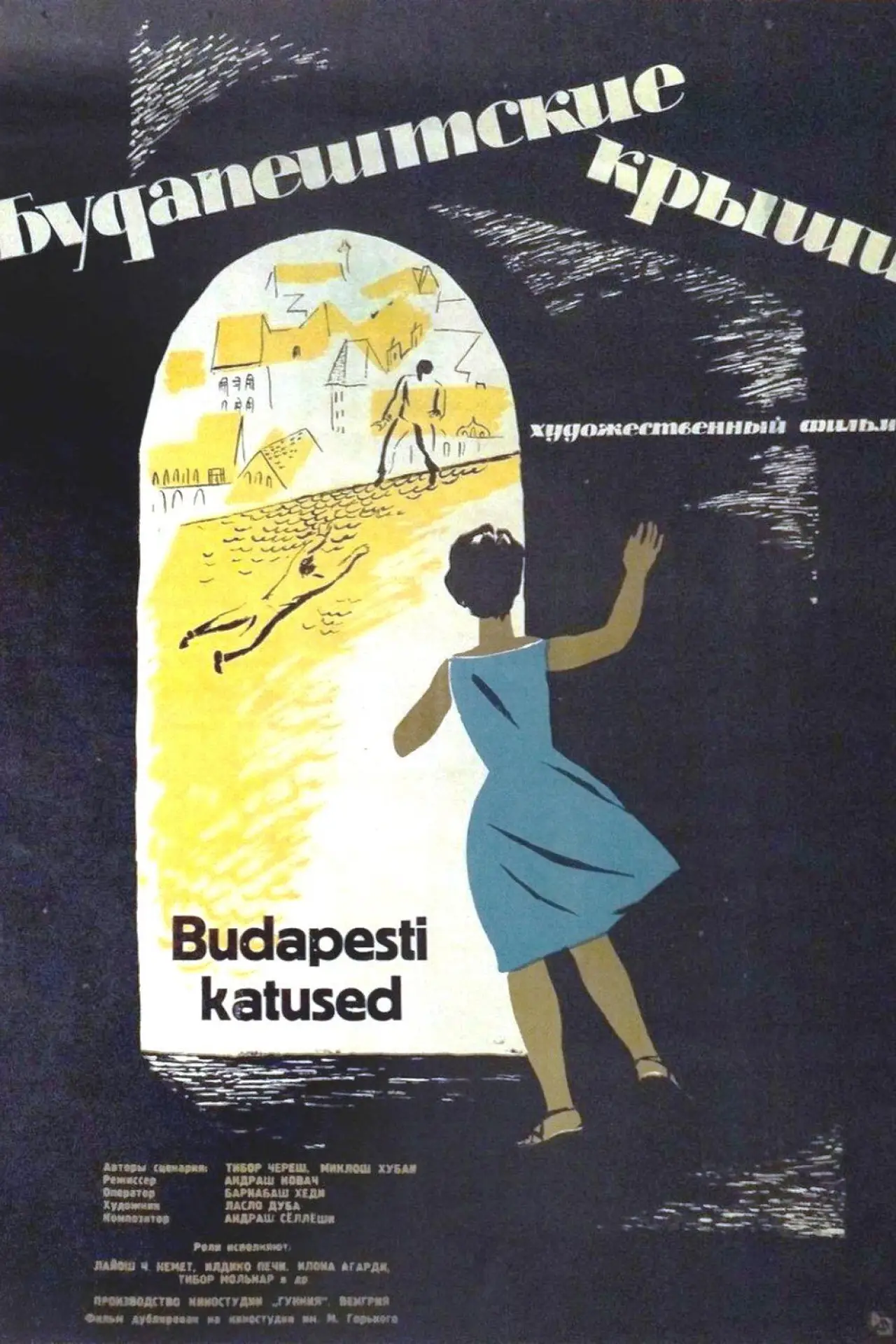 Постер до фільму "Pesti háztetők"