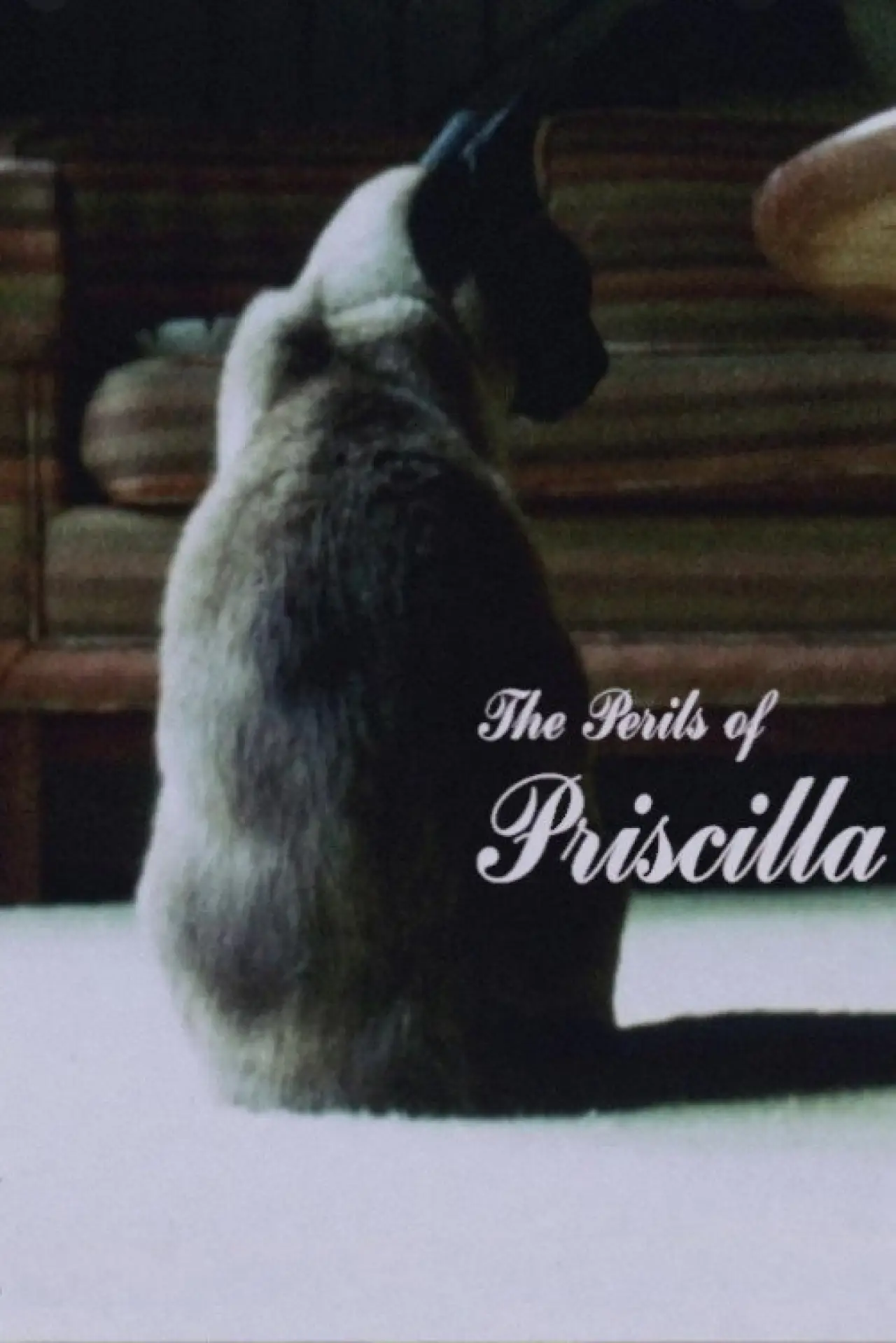 Постер до фільму "The Perils of Priscilla"