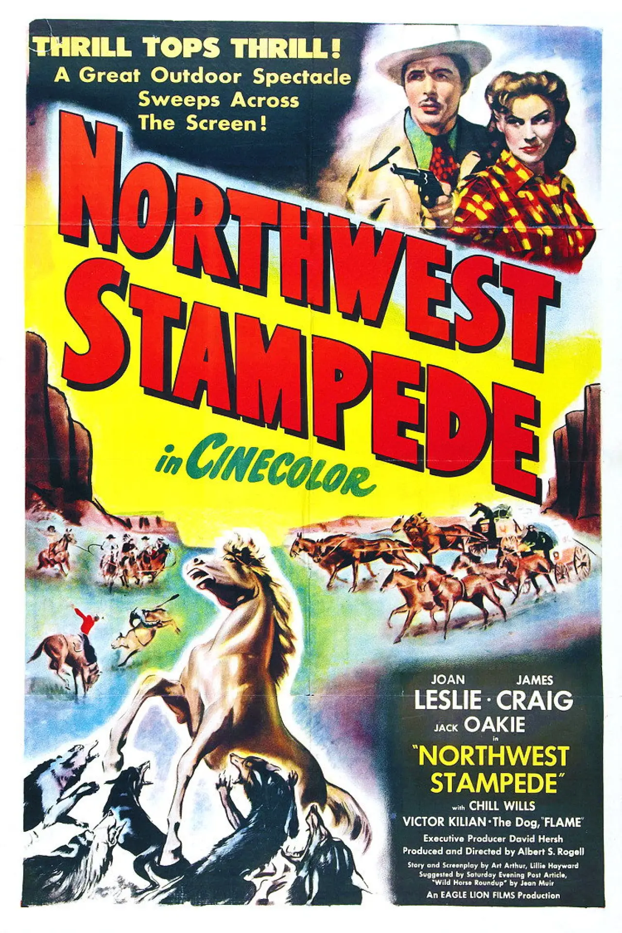Постер до фільму "Northwest Stampede"