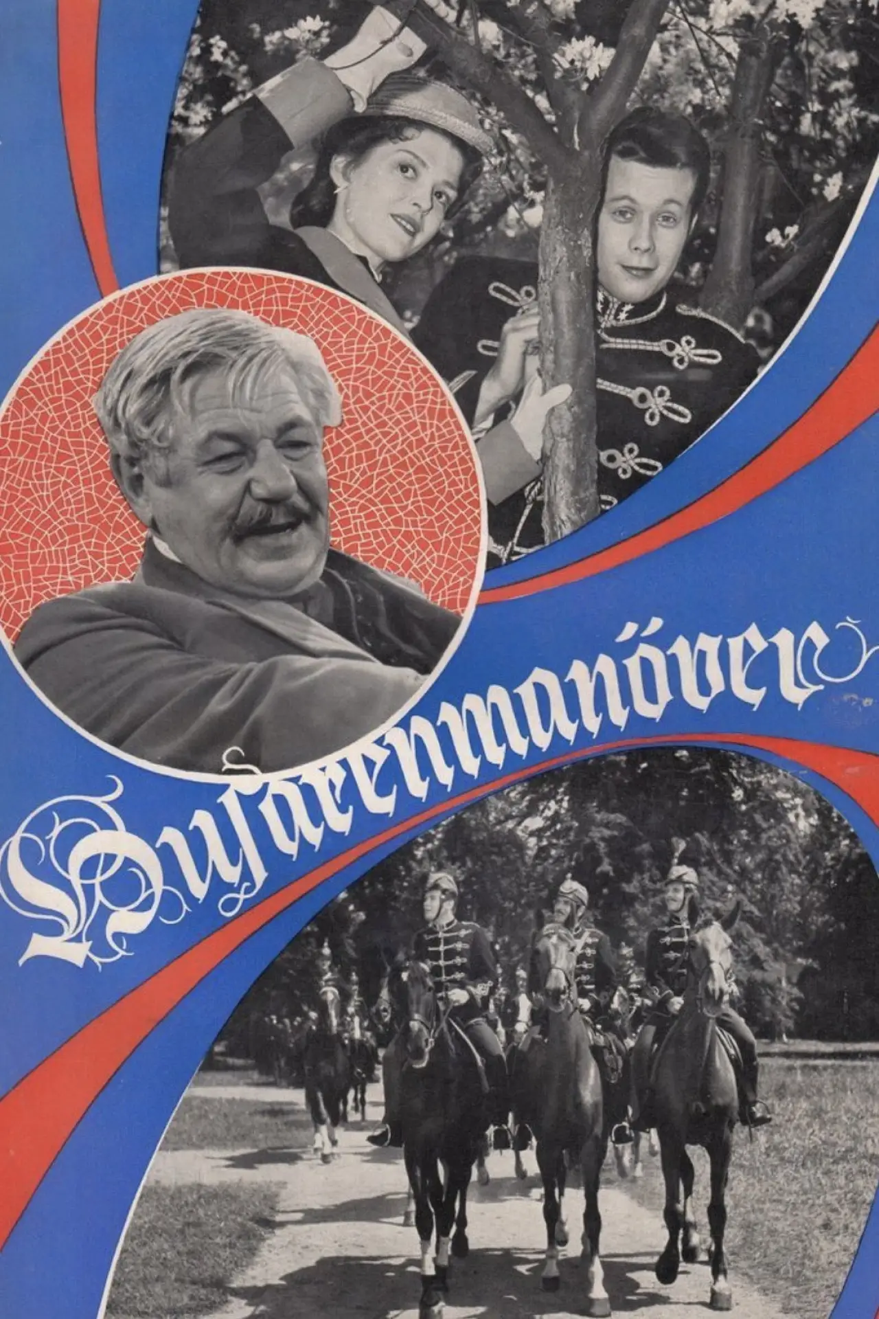 Постер до фільму "Husarenmanöver"