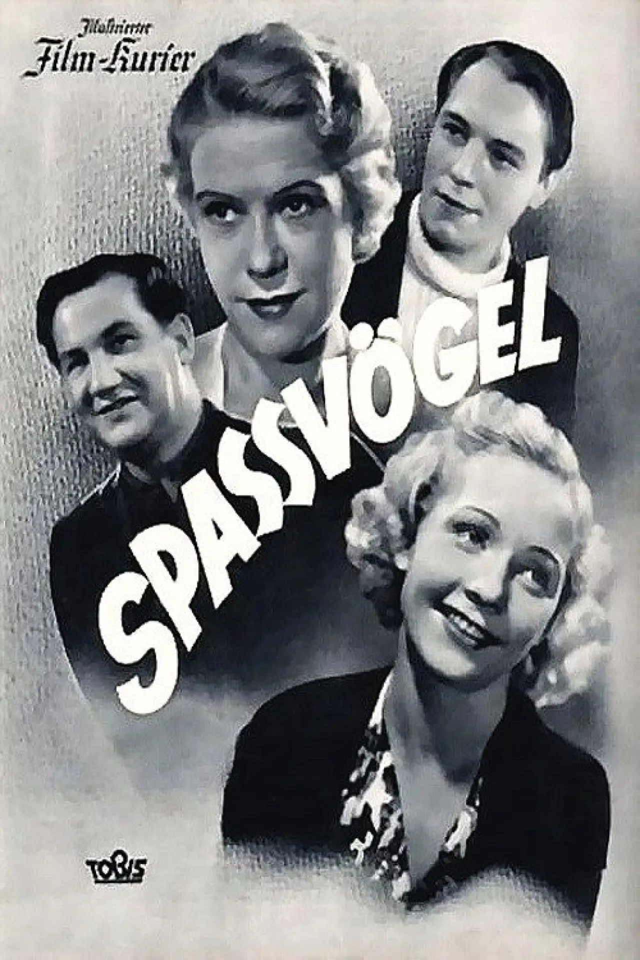 Постер до фільму "Spaßvögel"